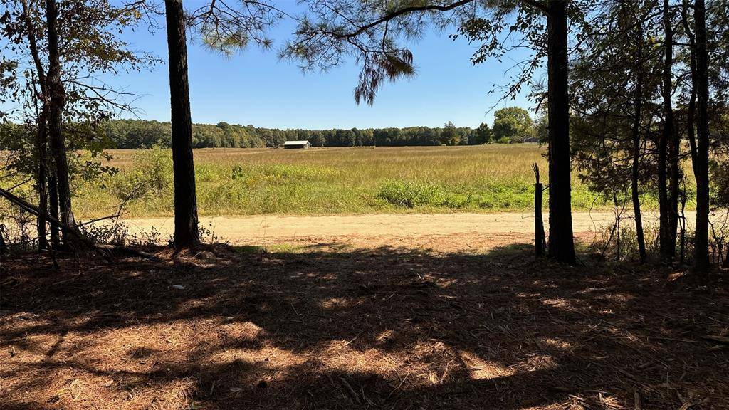 75 County Road 2115, Bagwell, TX 75412