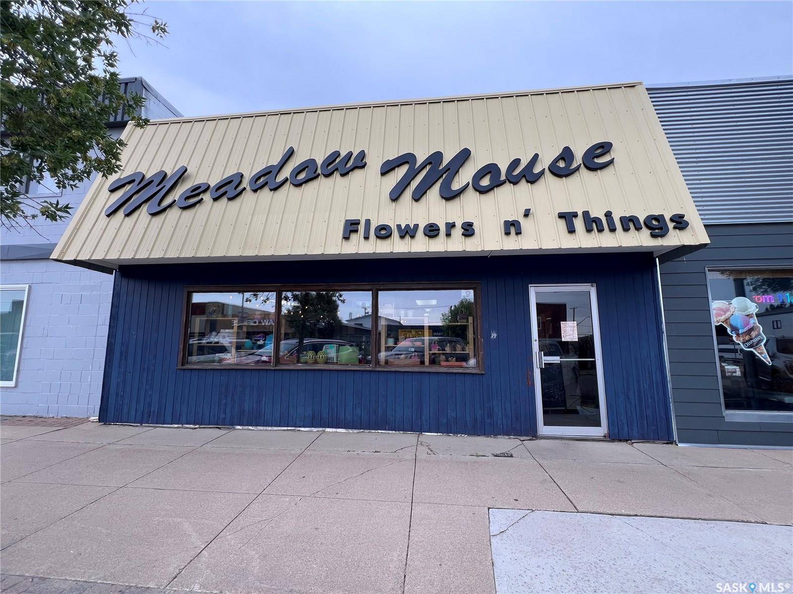 224 Centre STREET, Meadow Lake, SK S9X 1Z7