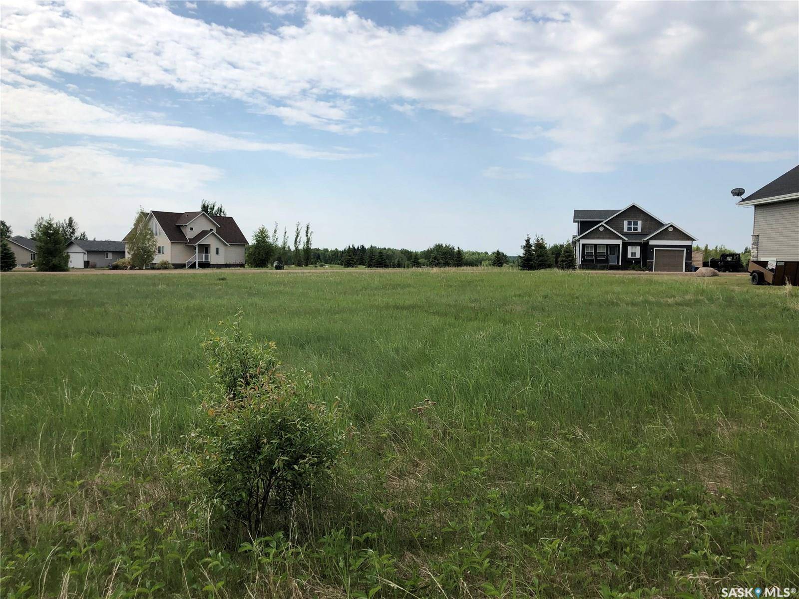 19 Northern Meadows WAY, Goodsoil, SK S0M 1A0