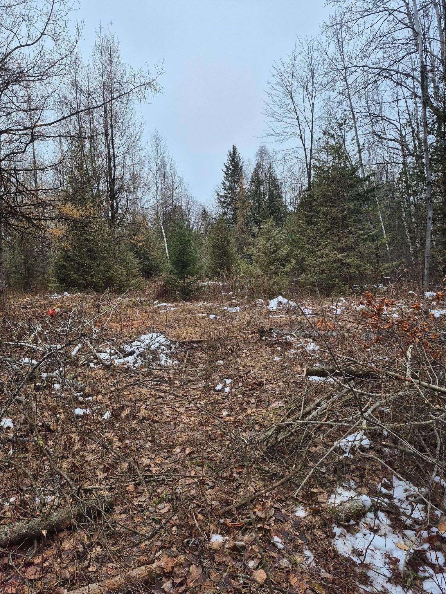 2819 Cowell RD, Manotick - Kars - Rideau Twp And Area, ON K0A 2T0