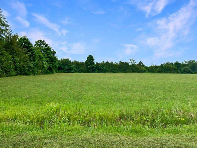 7191 Malakoff RD, Manotick - Kars - Rideau Twp And Area, ON K0A 2T0