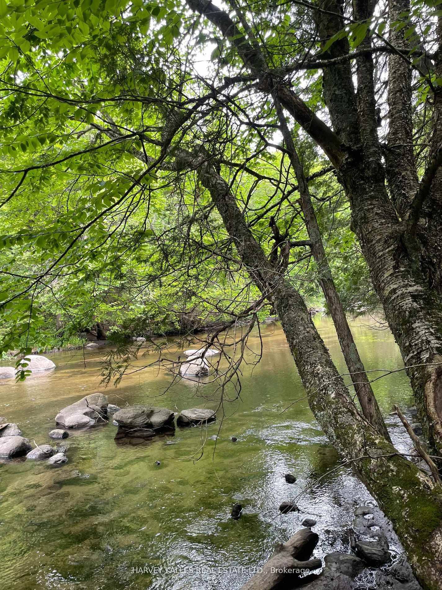 79 Gummow RD, Trent Hills, ON K0K 3K0