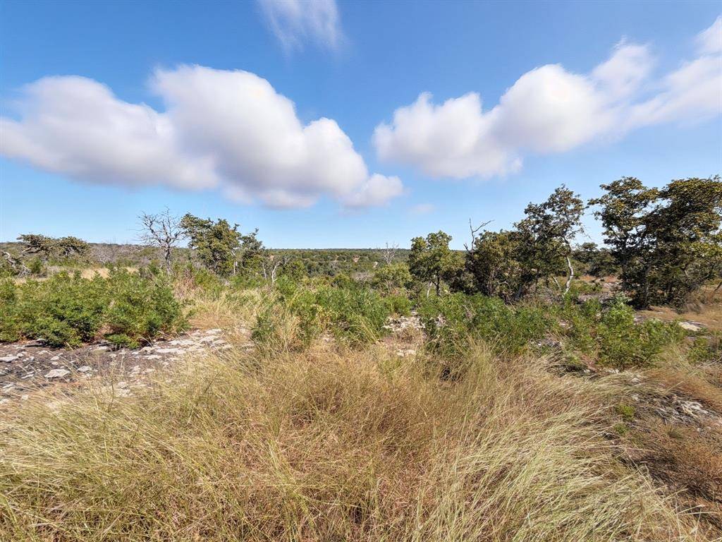 TBD FM 2414 - Tract 2, Evant, TX 76525