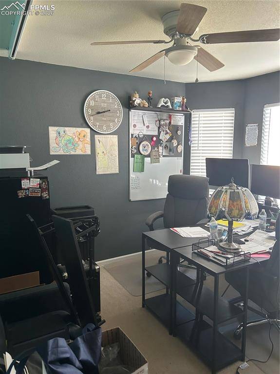 8123 Sedgewick DR, Colorado Springs, CO 80925