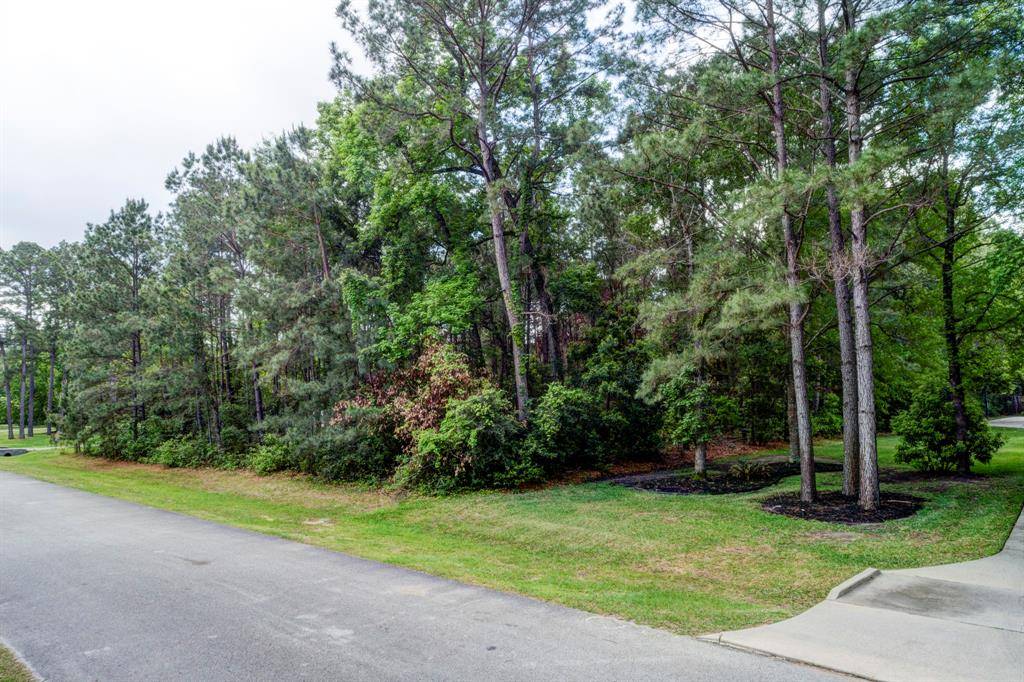 4106 Calvert Cove Court, Spring, TX 77386