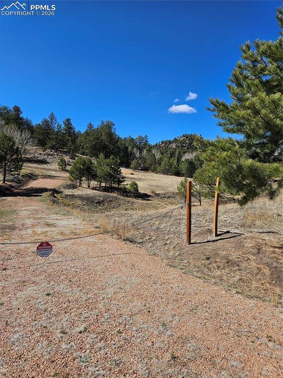 717 Canyon DR, Florissant, CO 80816