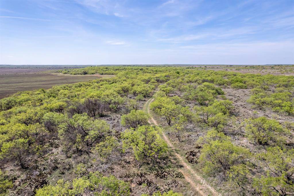 TBD County Road 464, Coleman, TX 76834