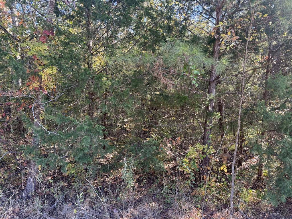 000 CR 2451, Clarksville, TX 75426