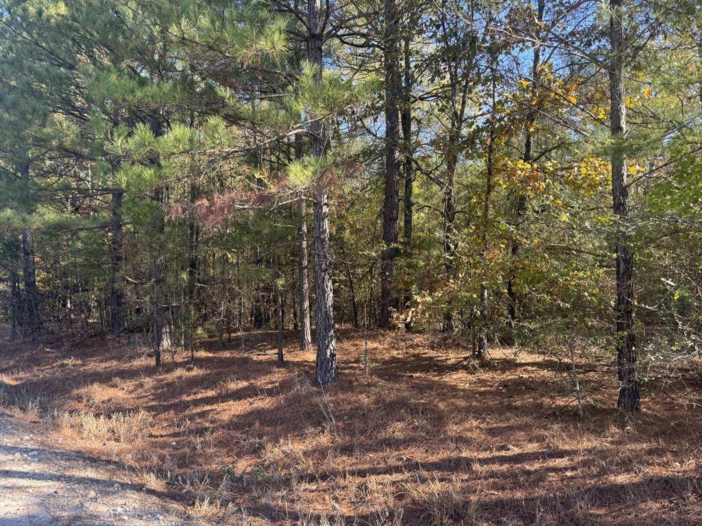 00 CR 2451, Clarksville, TX 75426