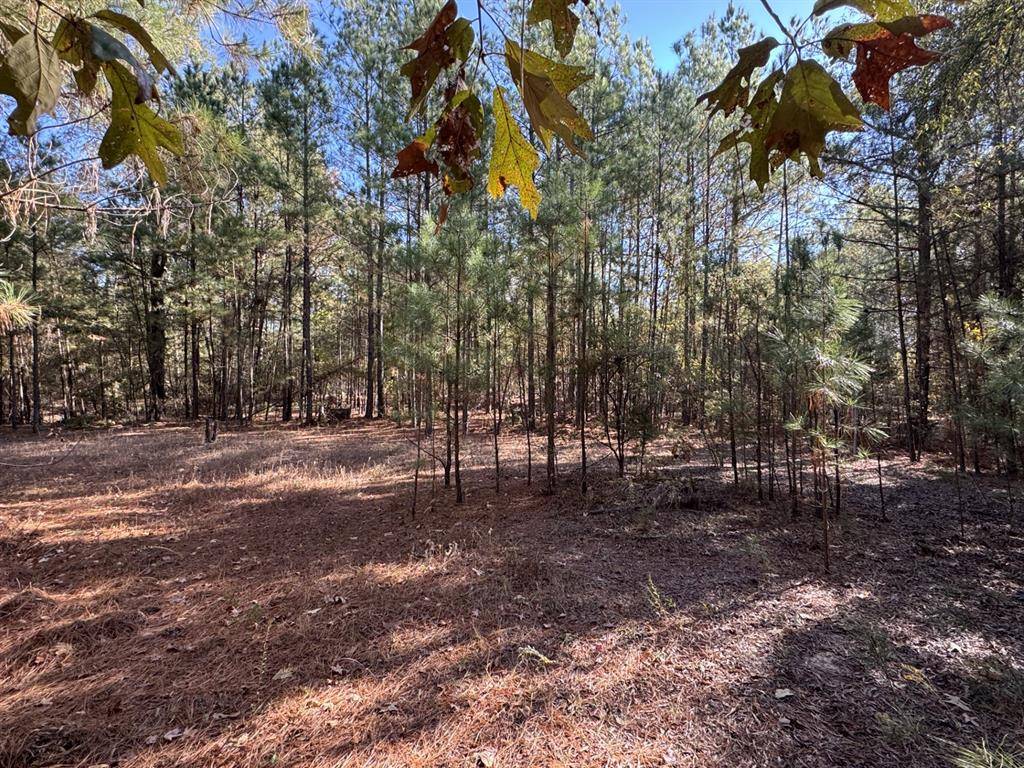 00 CR 2451, Clarksville, TX 75426