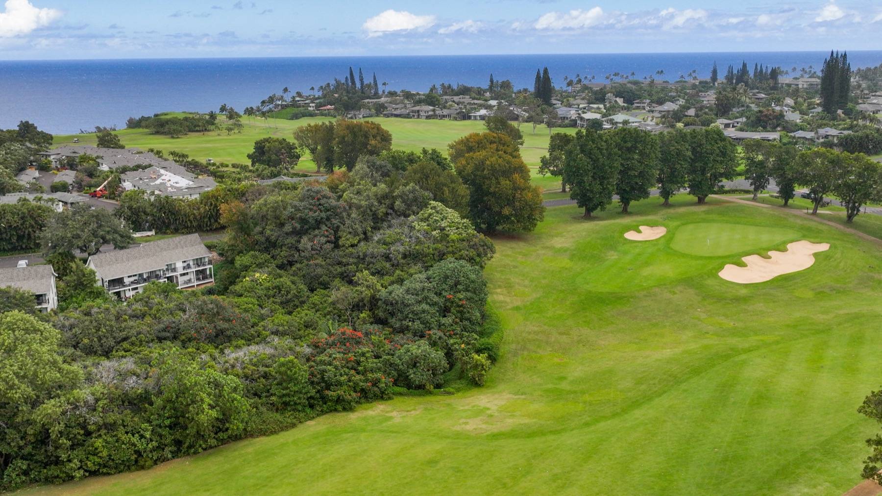 5301 KA HAKU RD #101, Princeville, HI 96722