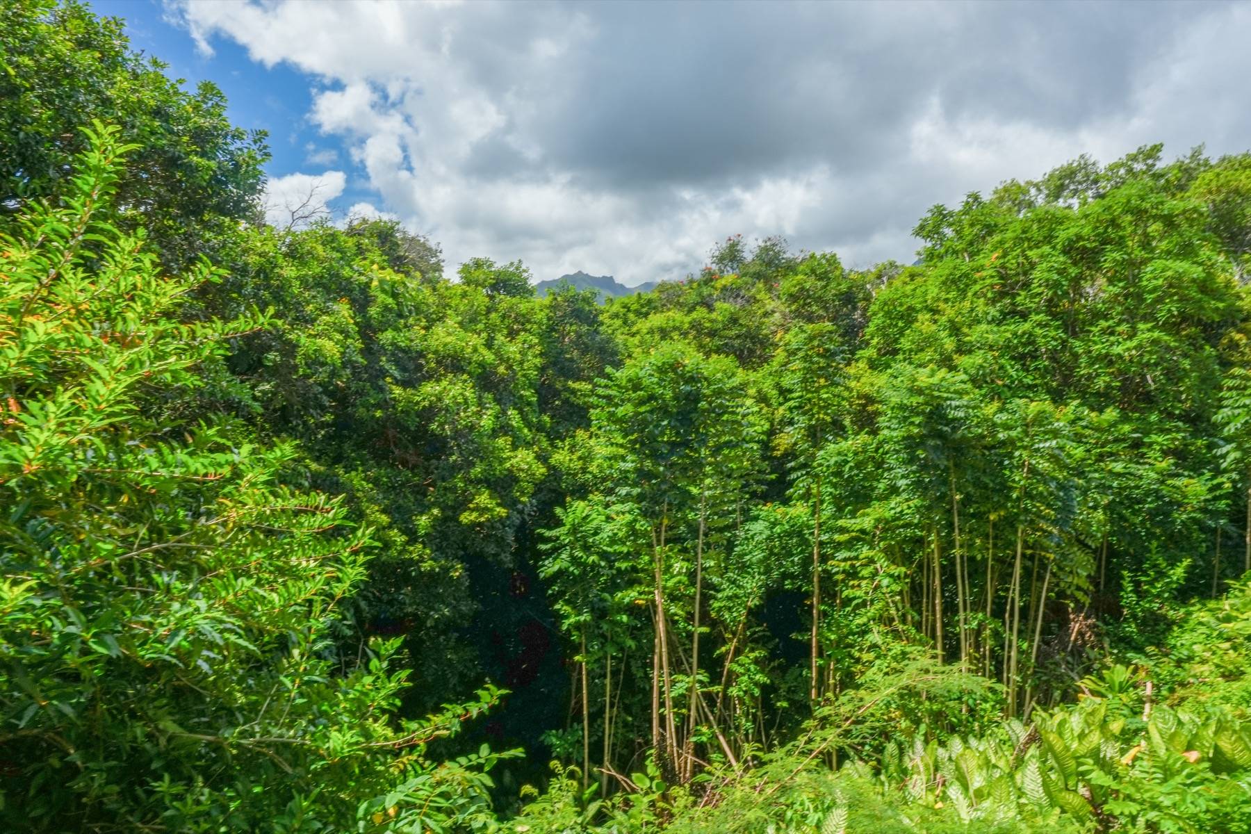 5301 KA HAKU RD #101, Princeville, HI 96722