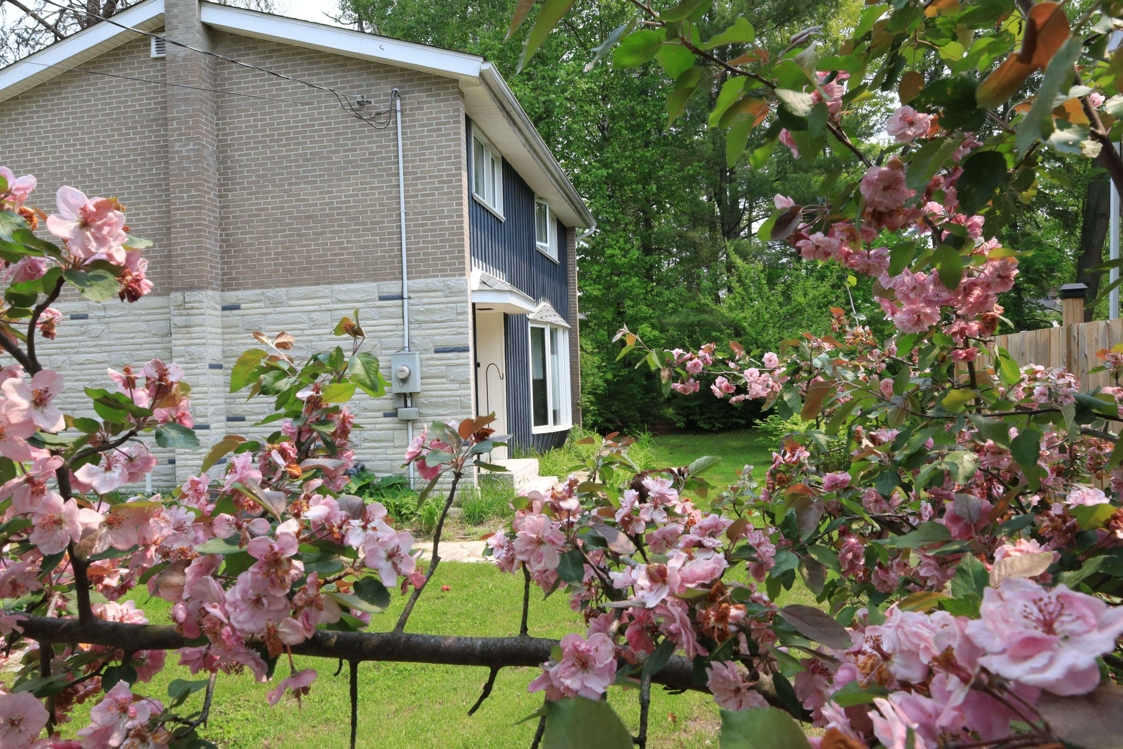 98 Birch ST, Deep River, ON K0J 1P0