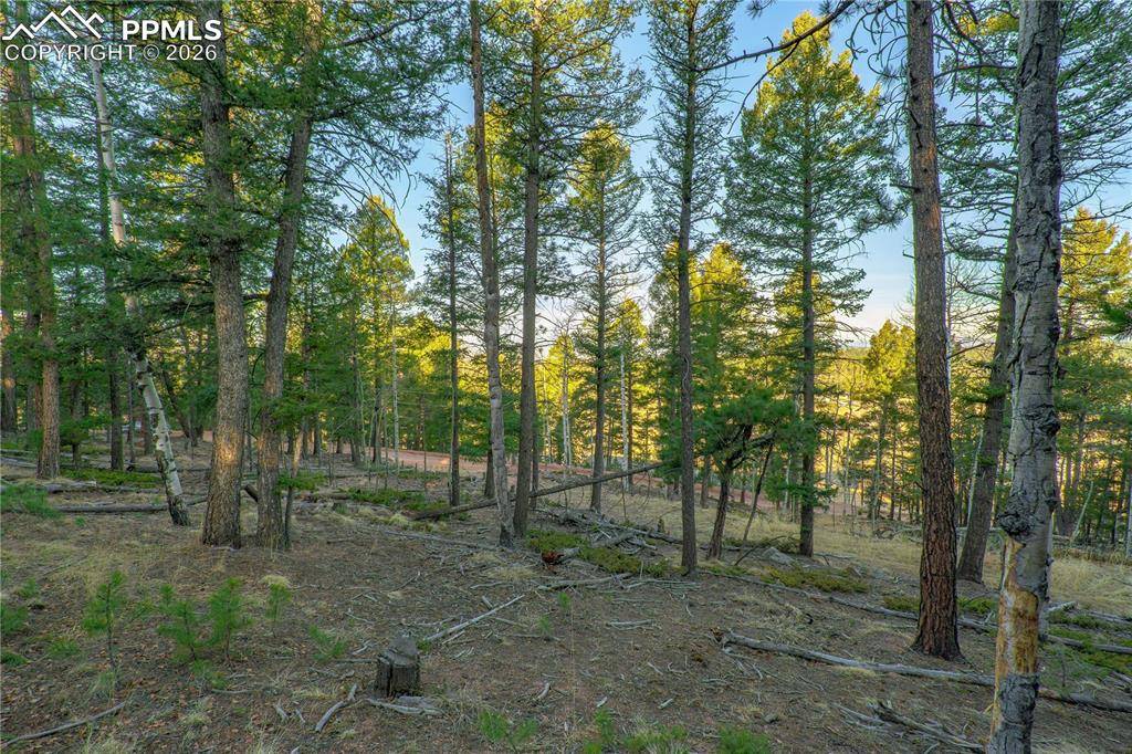 88 Malmsey LN, Divide, CO 80814