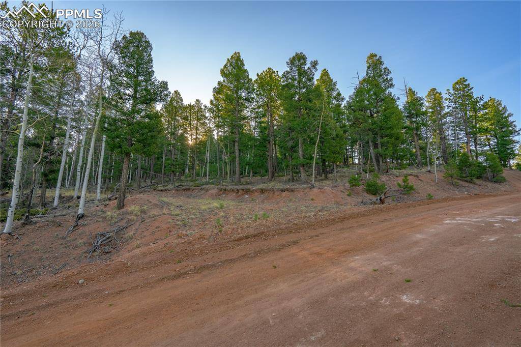 88 Malmsey LN, Divide, CO 80814