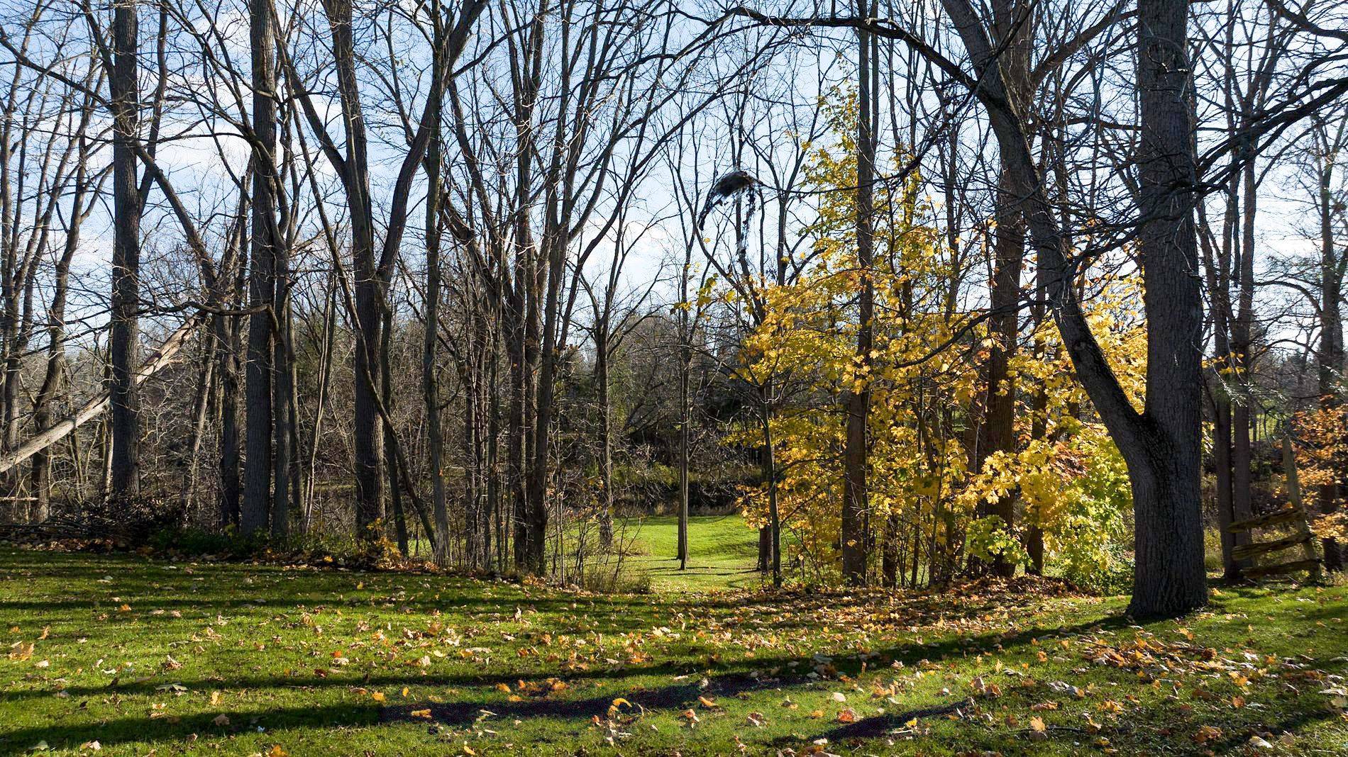 PT LT107 VICTORIA TER, Central Huron, ON N0M 1L0