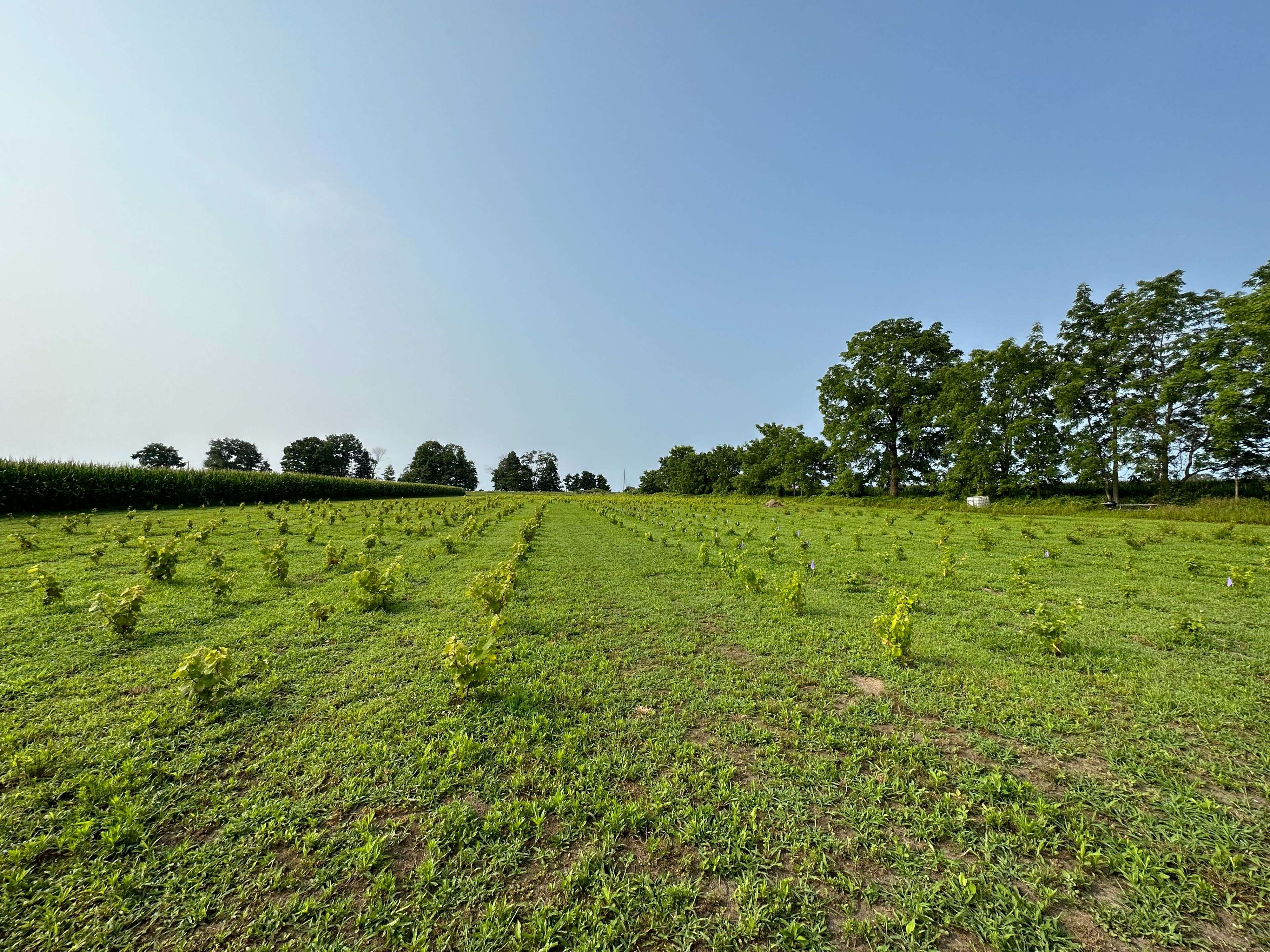 48397 Dexter Line, Central Elgin, ON N5H 2R2