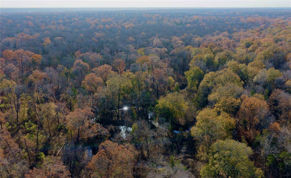 TBD FM 197, Arthur City, TX 75411