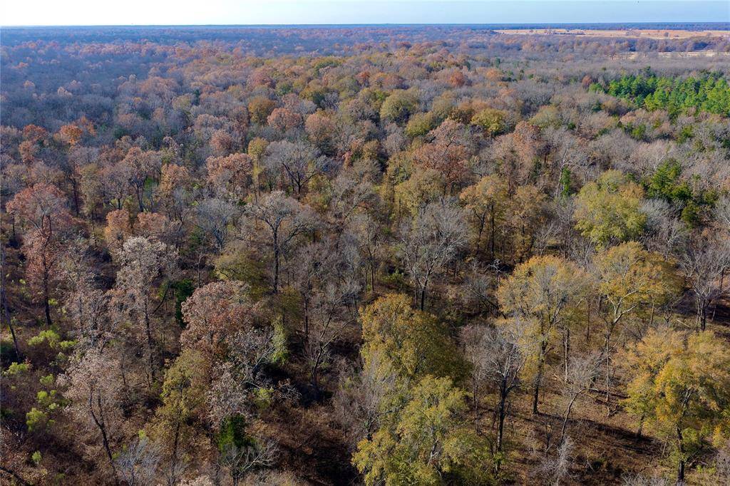 TBD FM 197, Arthur City, TX 75411