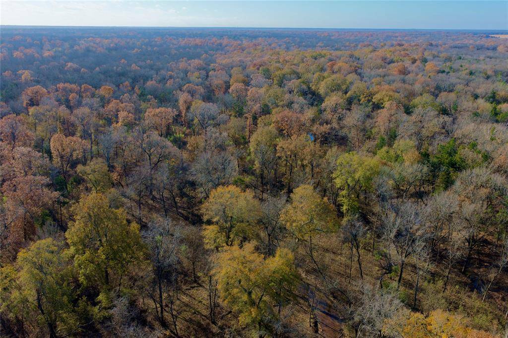 TBD FM 197, Arthur City, TX 75411