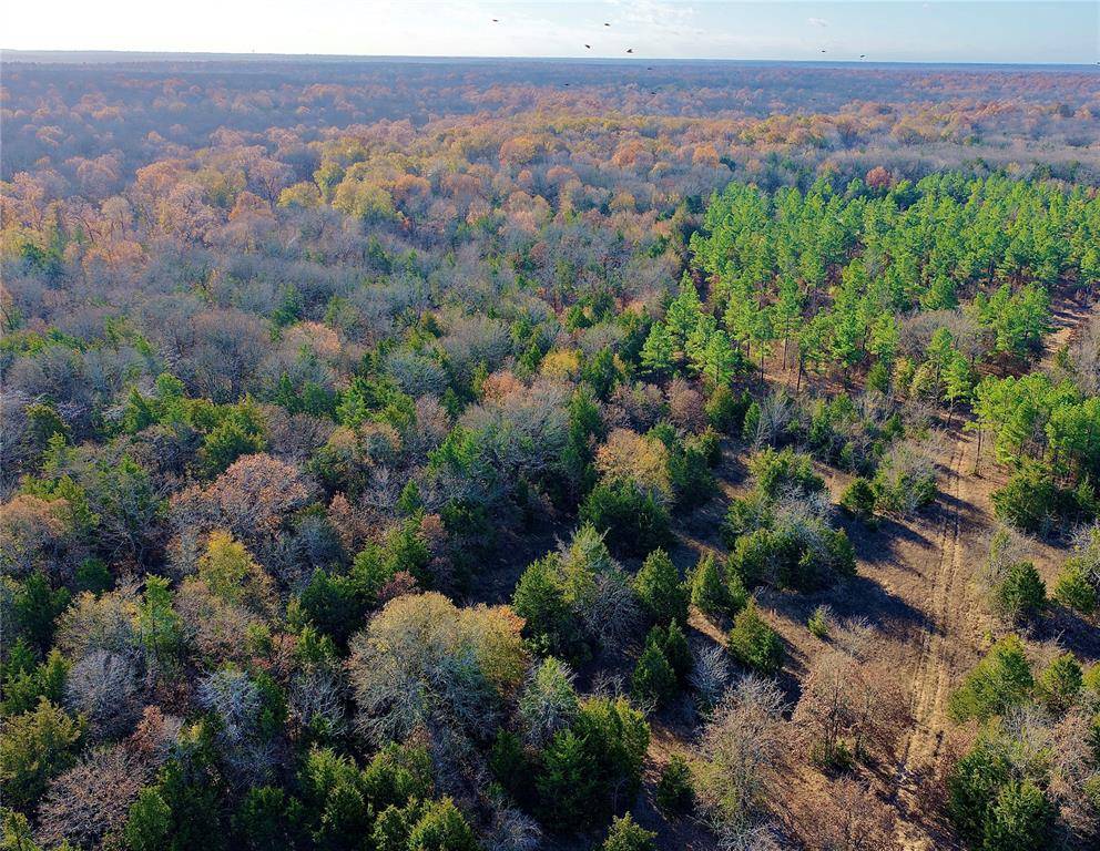 TBD FM 197, Arthur City, TX 75411