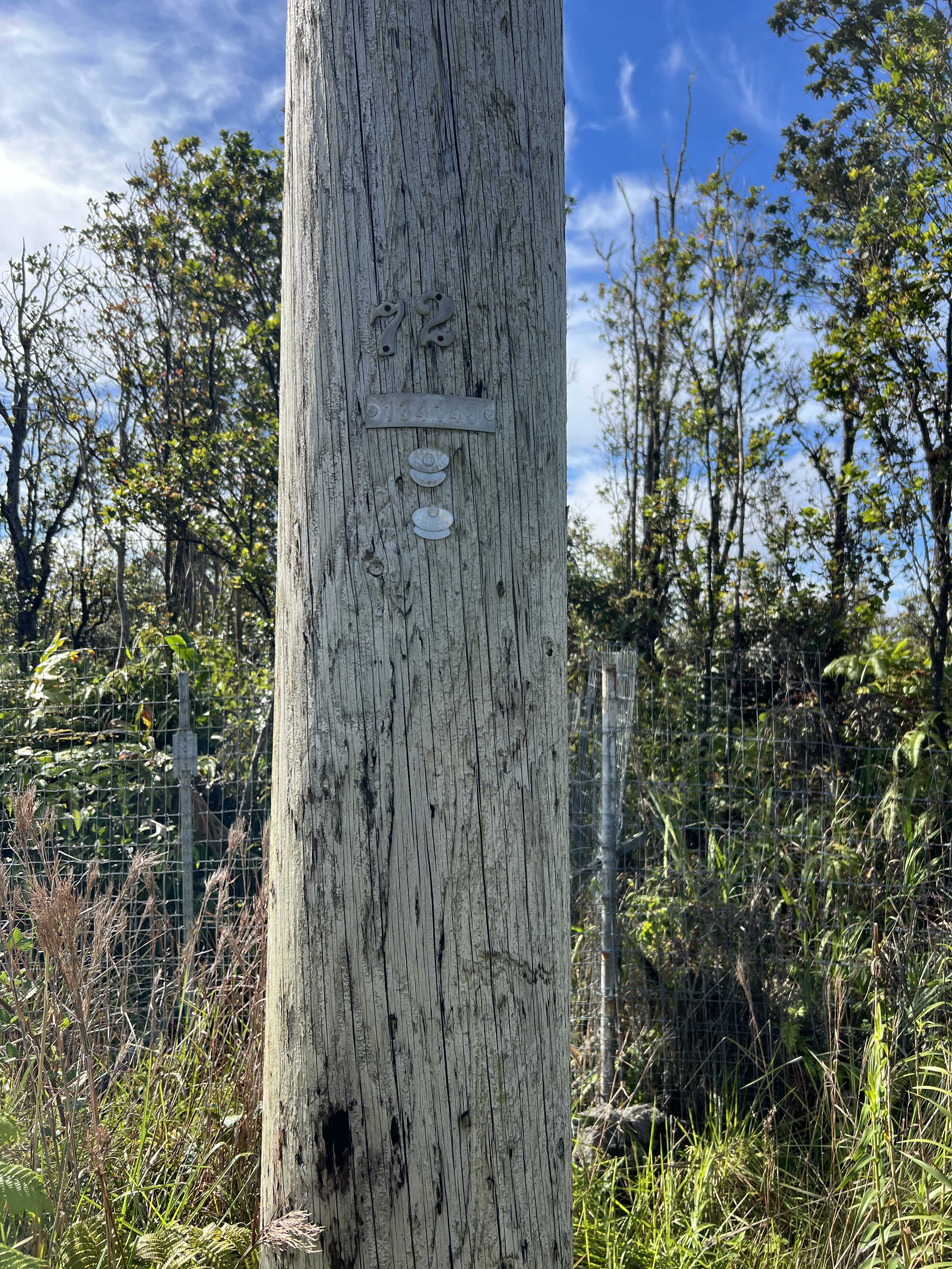 11-2454 KALEPONI DR, Volcano, HI 96785