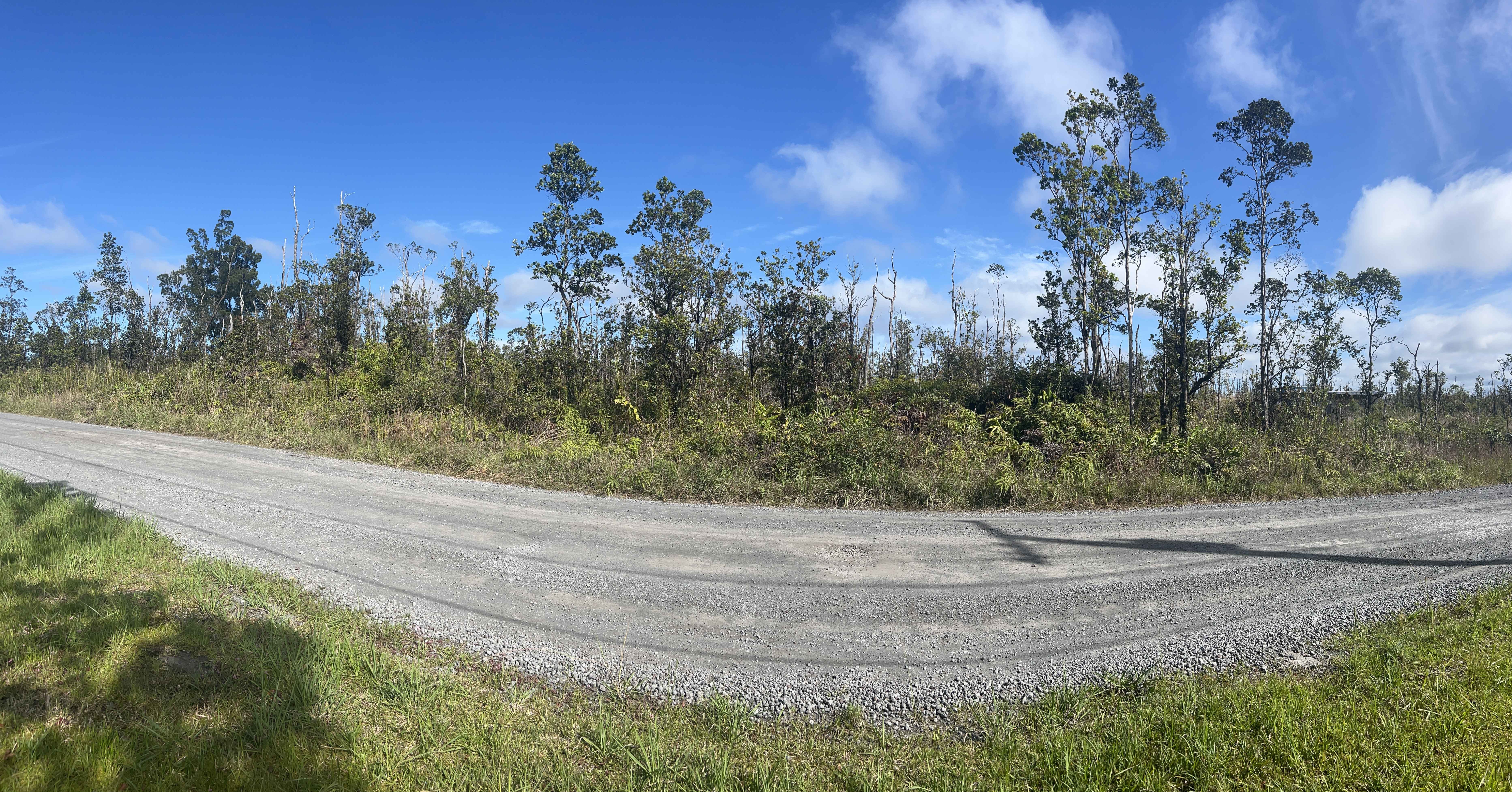 11-2454 KALEPONI DR, Volcano, HI 96785