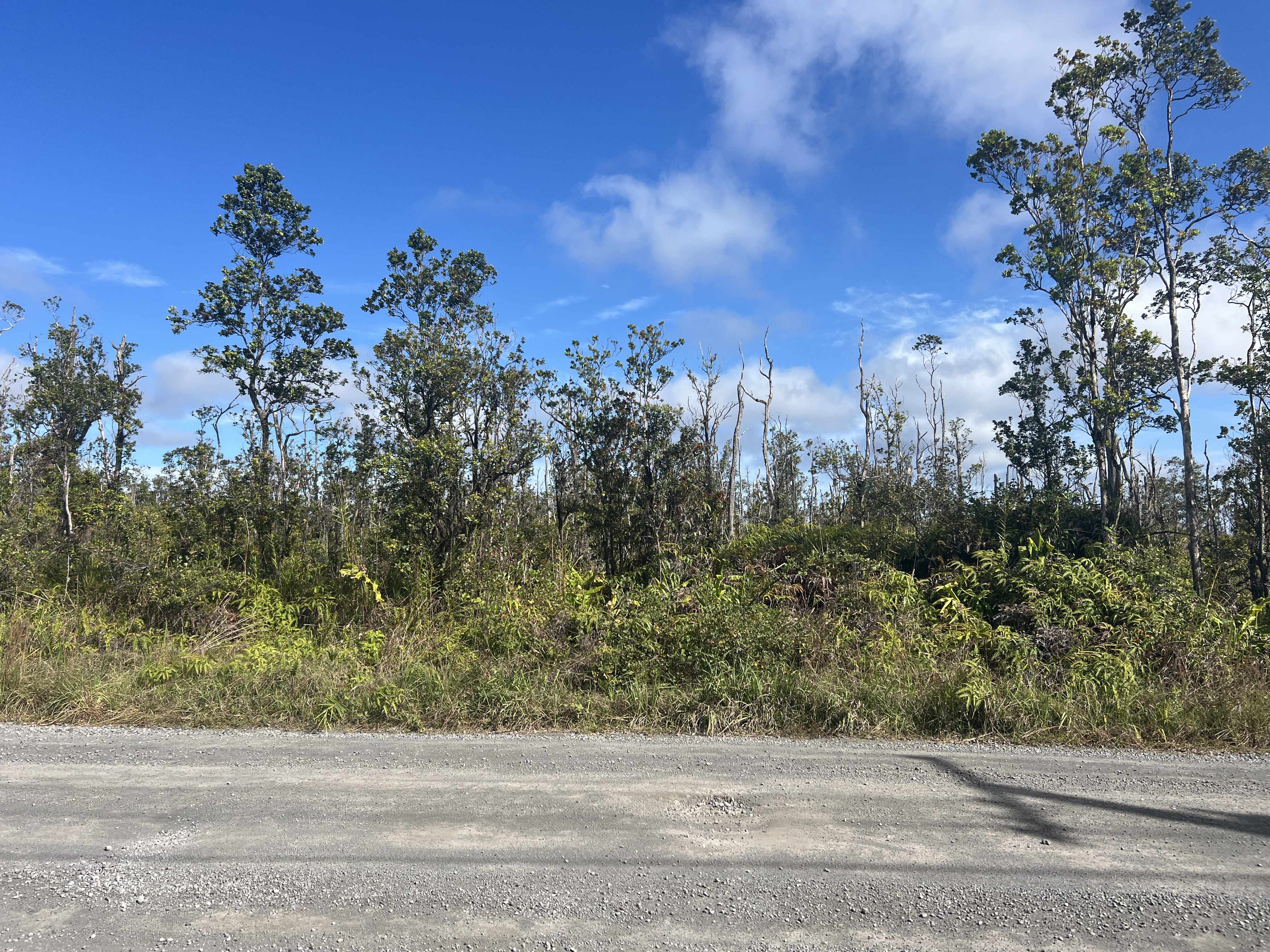 11-2454 KALEPONI DR, Volcano, HI 96785