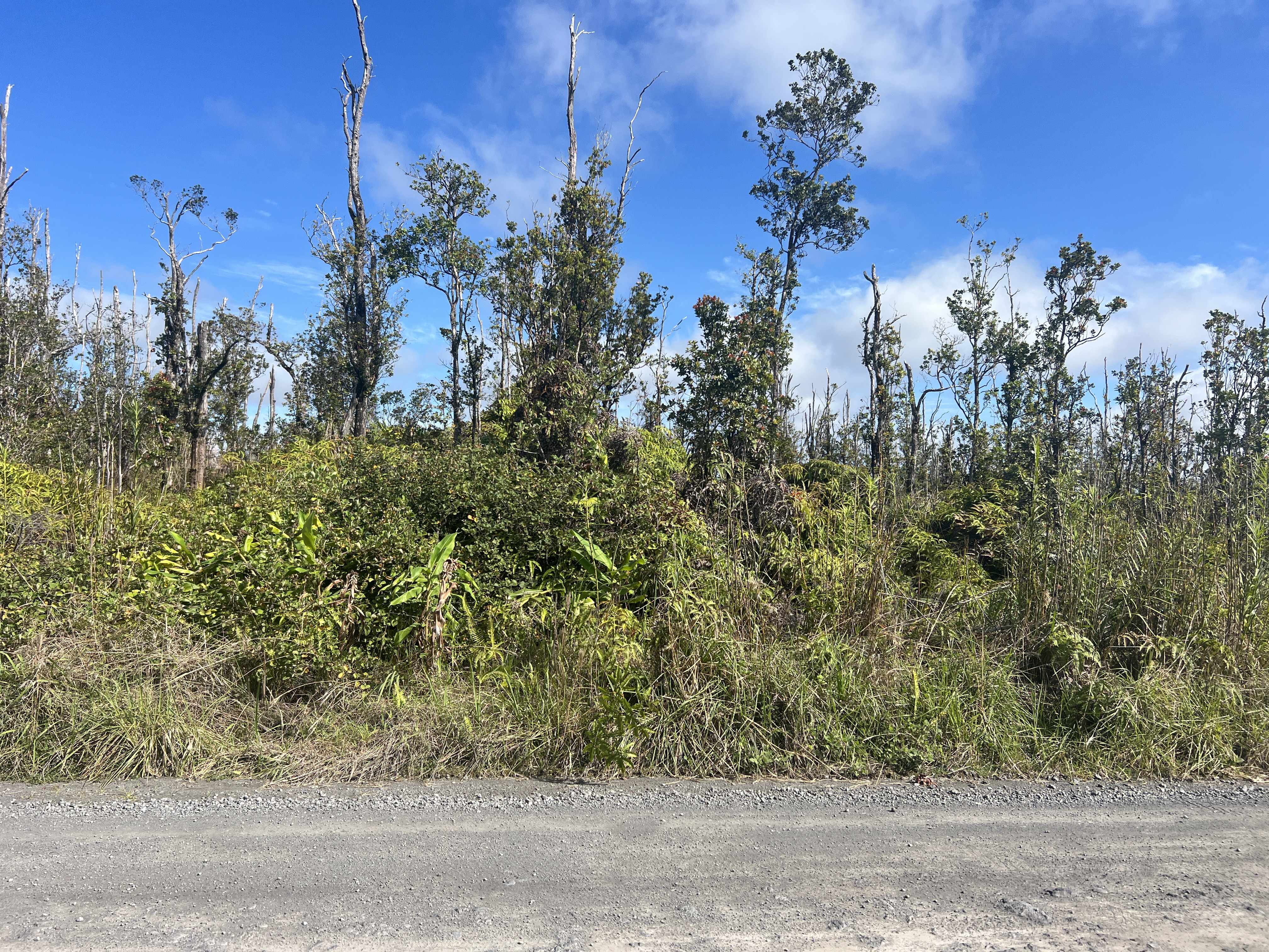 11-2454 KALEPONI DR, Volcano, HI 96785