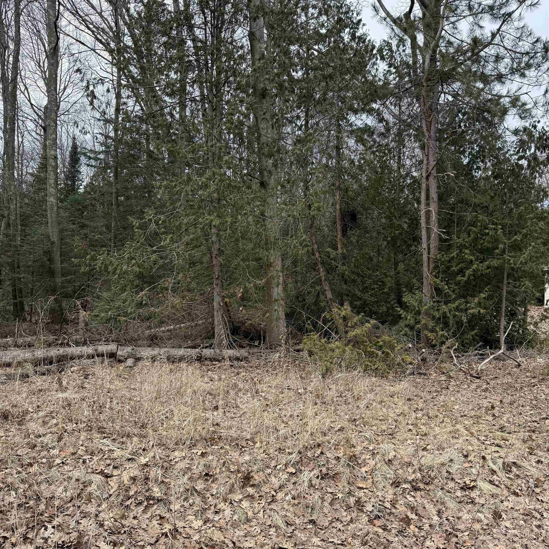 Woodlea RD, Oscoda Twp, MI 48750