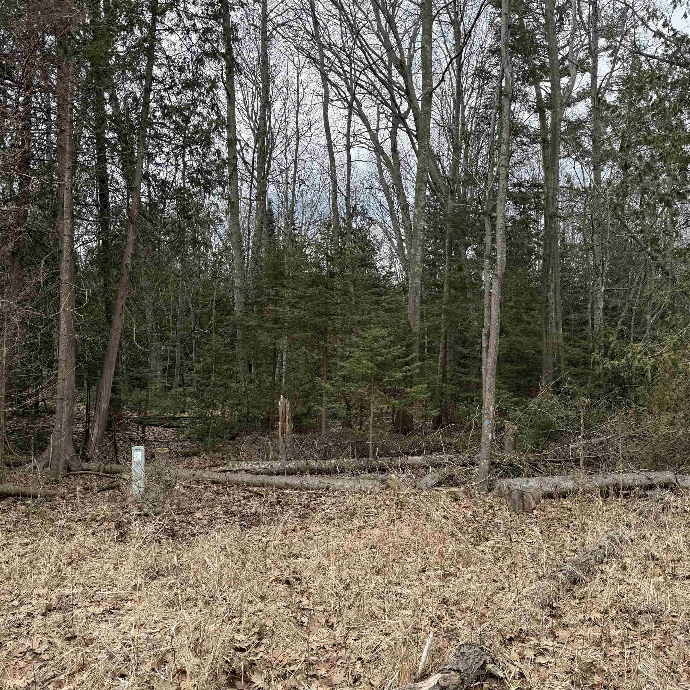 Woodlea RD, Oscoda Twp, MI 48750
