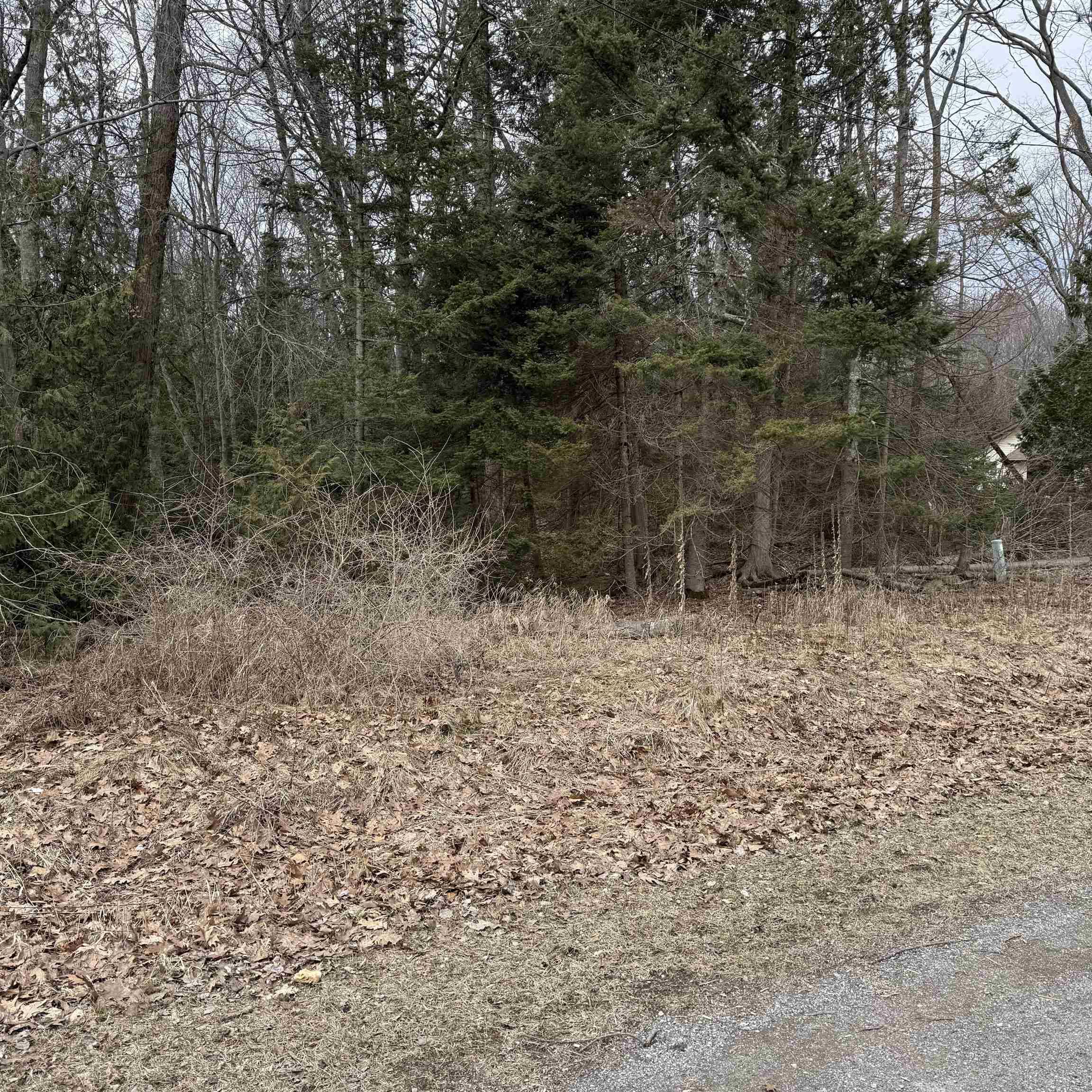 Woodlea RD, Oscoda Twp, MI 48750