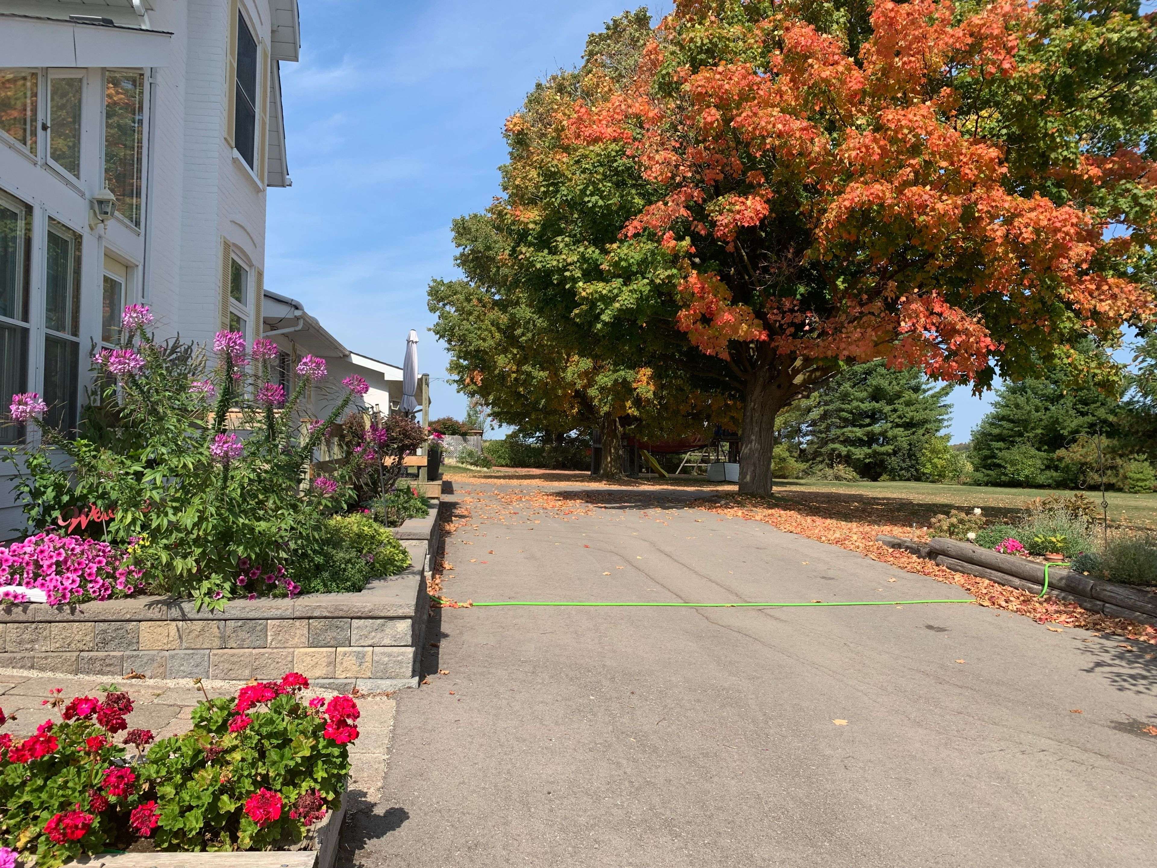 7688 Sideroad 5 N/A, Adjala-tosorontio, ON L9R 1V3