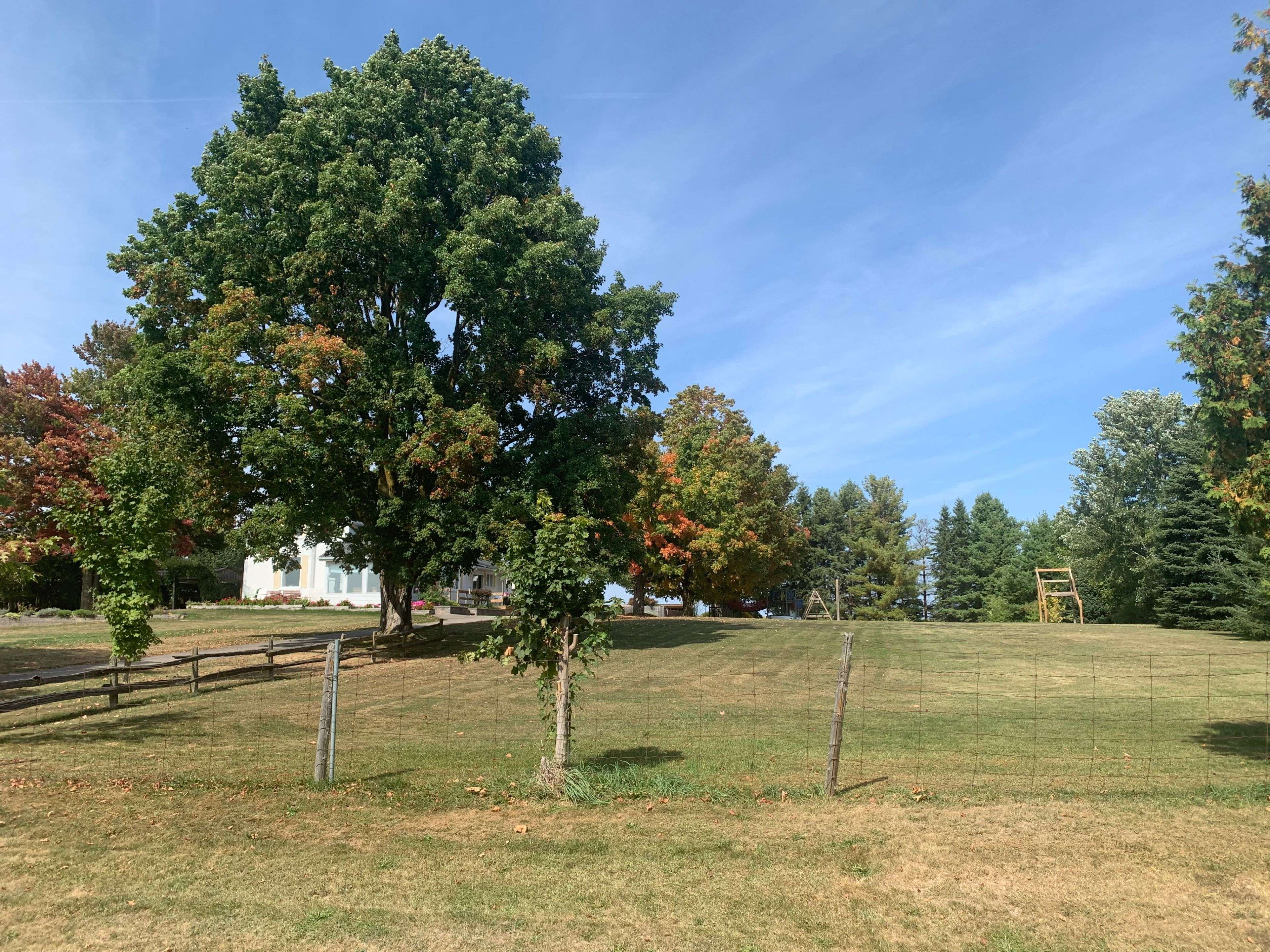 7688 Sideroad 5 N/A, Adjala-tosorontio, ON L9R 1V3