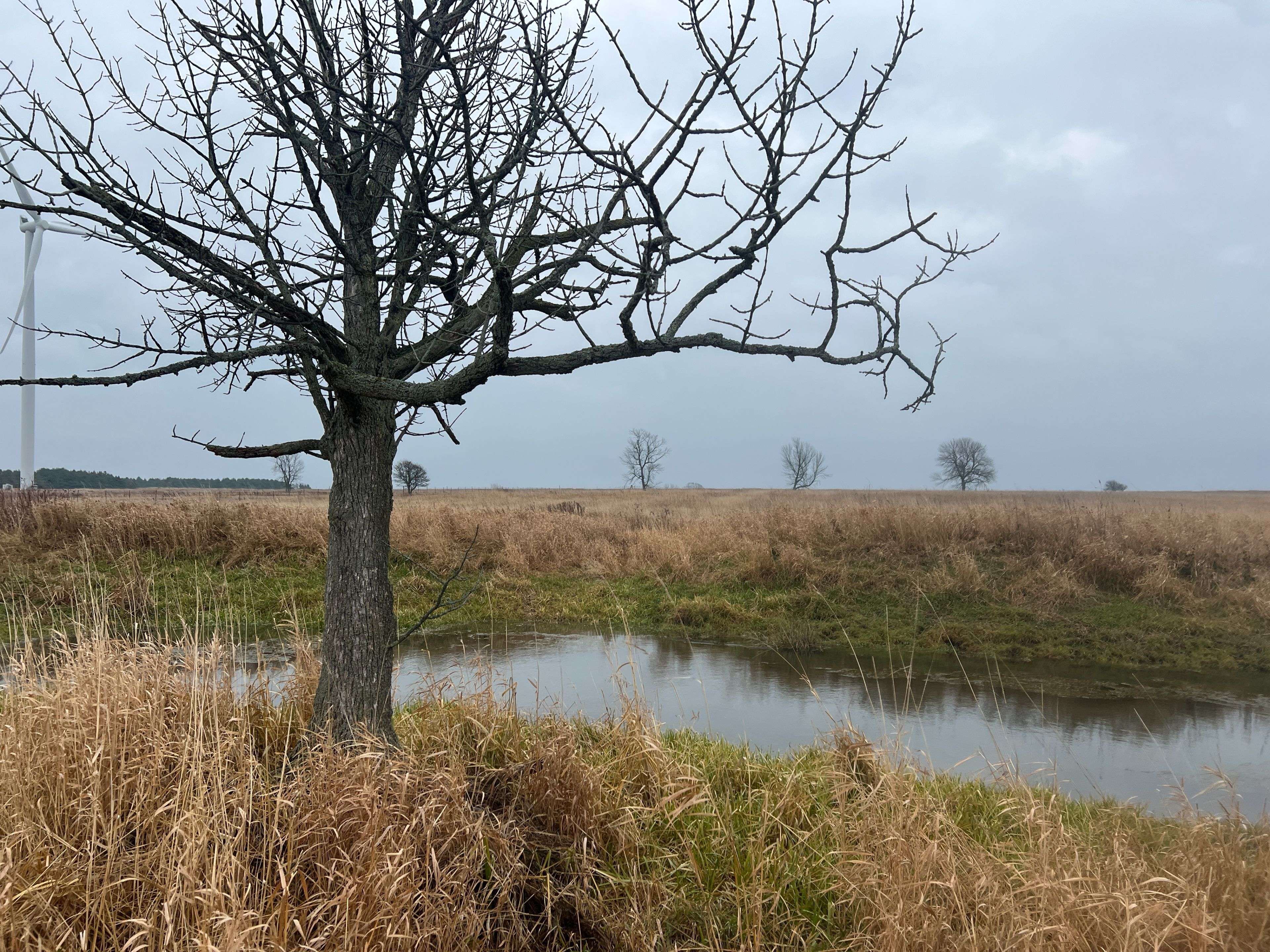 LOT 17 SOUTH SHORE RD, Frontenac Islands, ON K0H 2S0