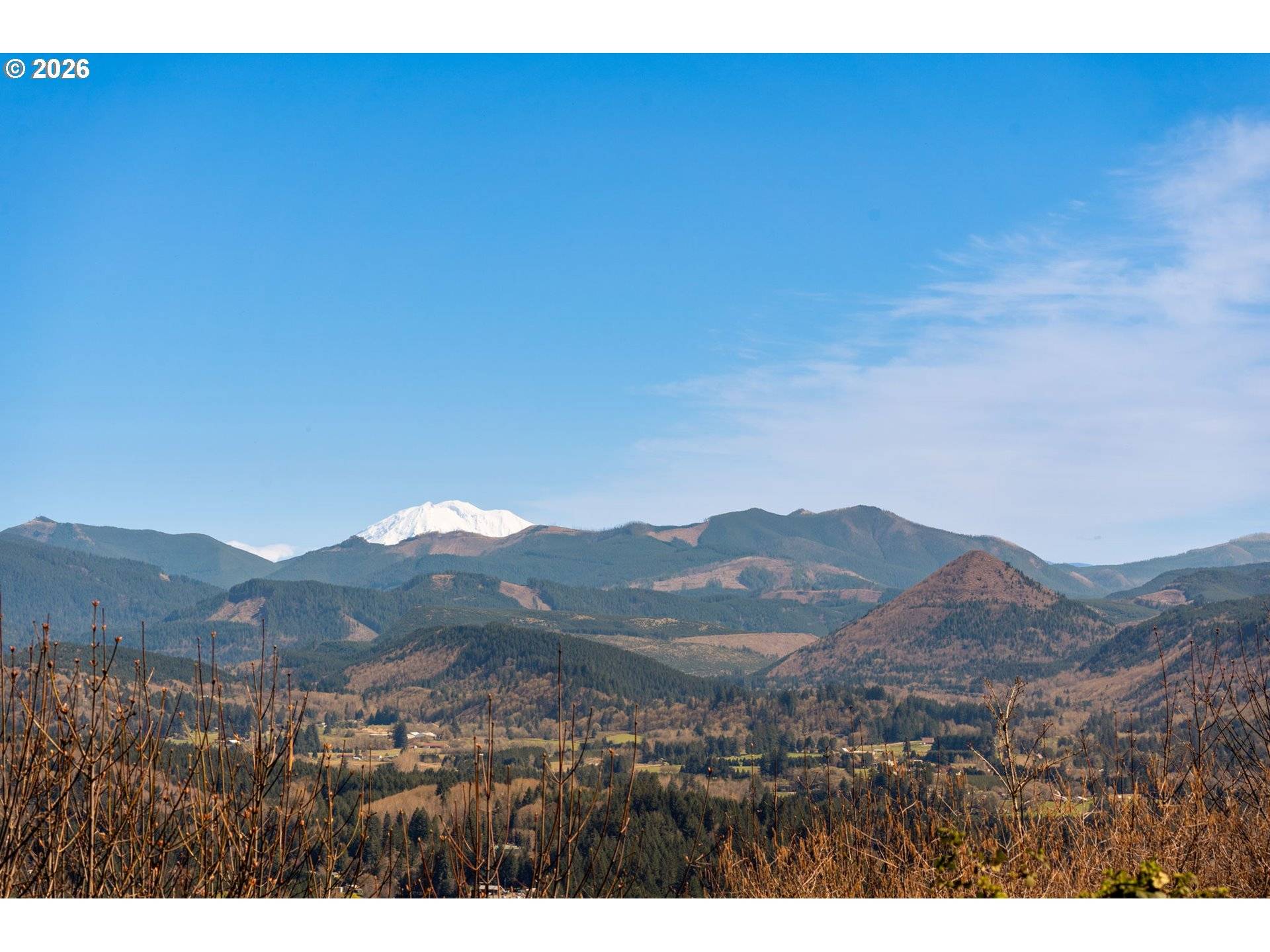 18414 NE 391ST ST, Amboy, WA 98601