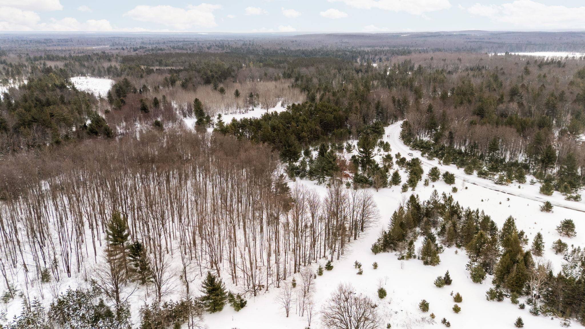 323 SE Blue Heron DR, Orange Twp, MI 49646