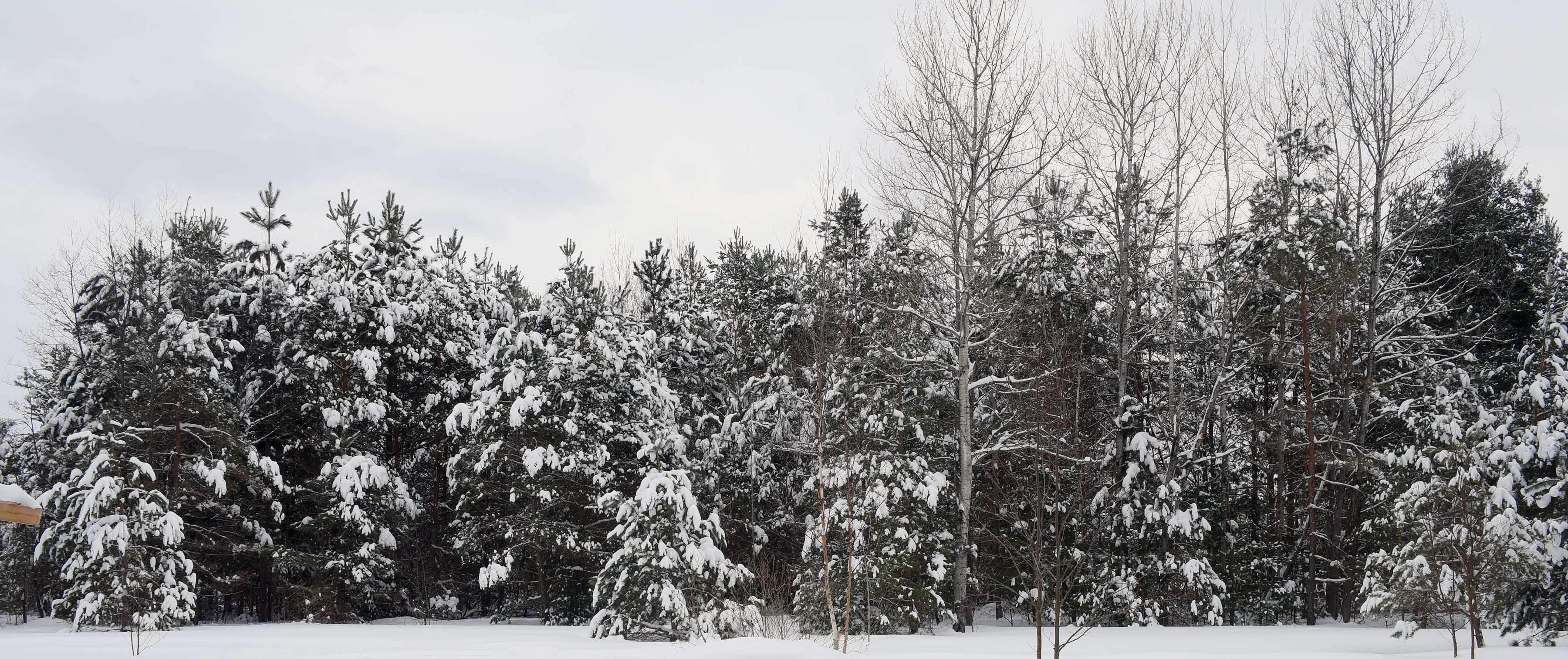 0 Airport RD, Addington Highlands, ON K0H 2G0