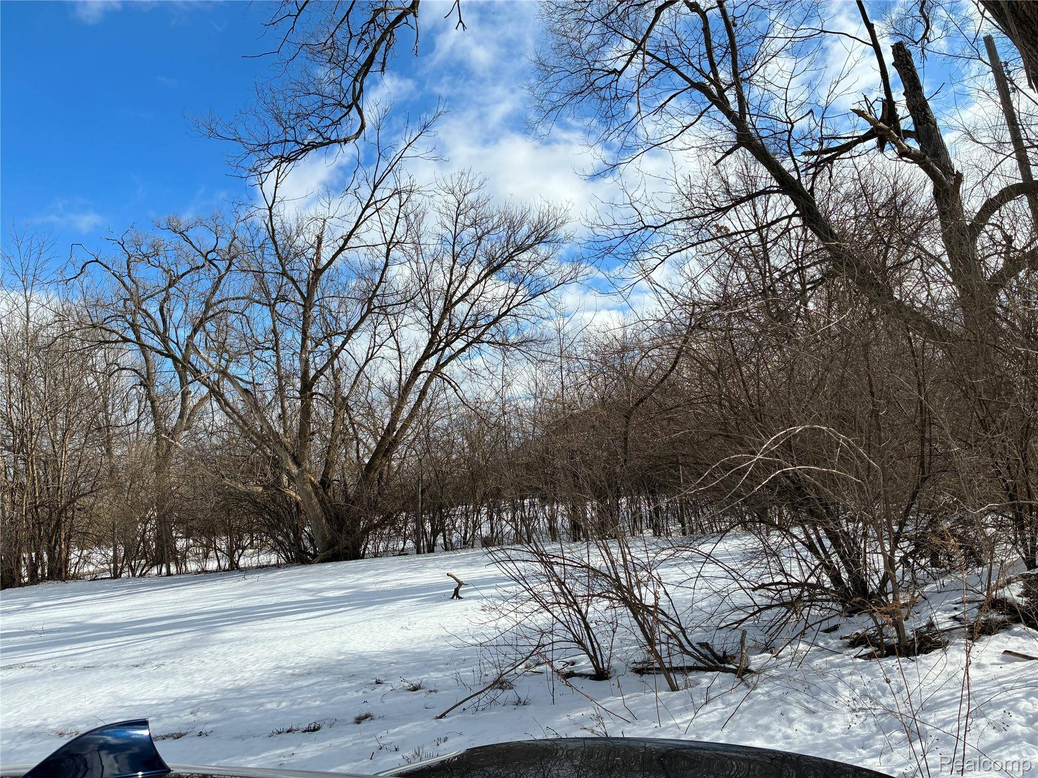 19463 Troy pl, Detroit, MI 48203