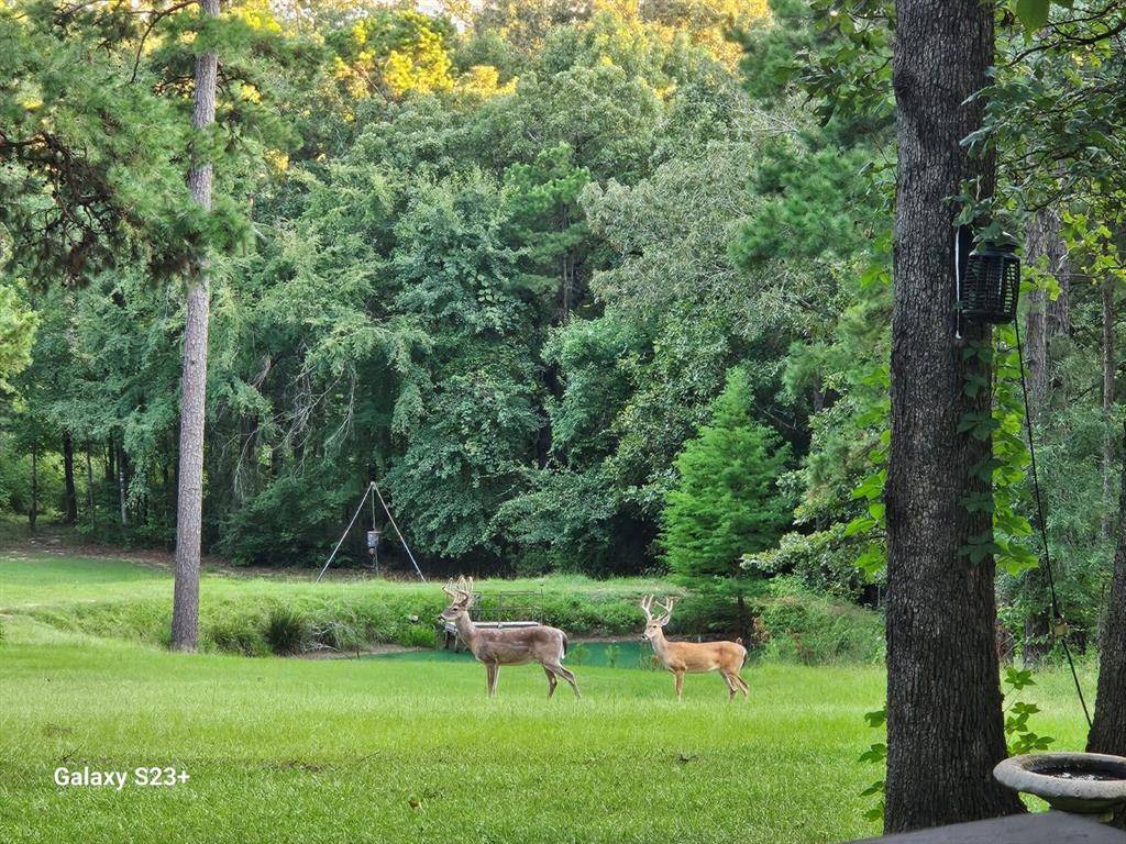 4491 S FM 2869, Hawkins, TX 75765