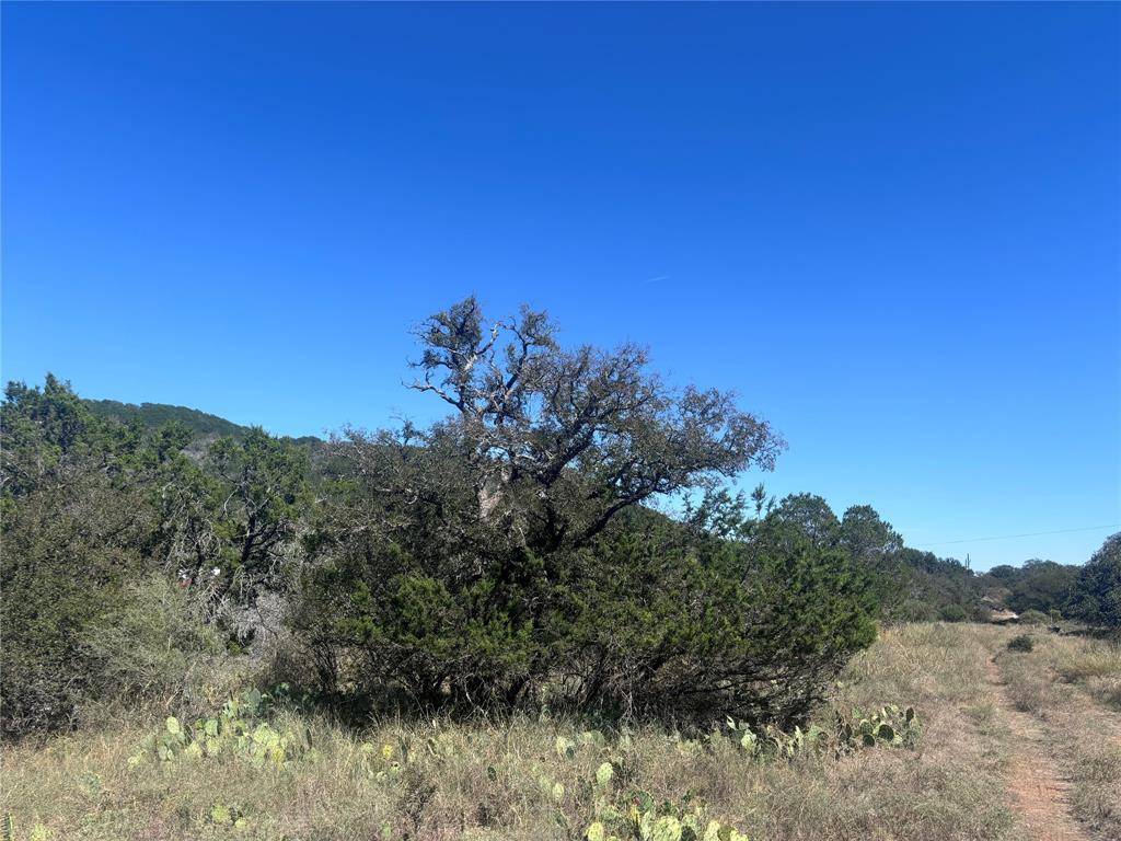 TBD Hill Street, Burnet, TX 78611