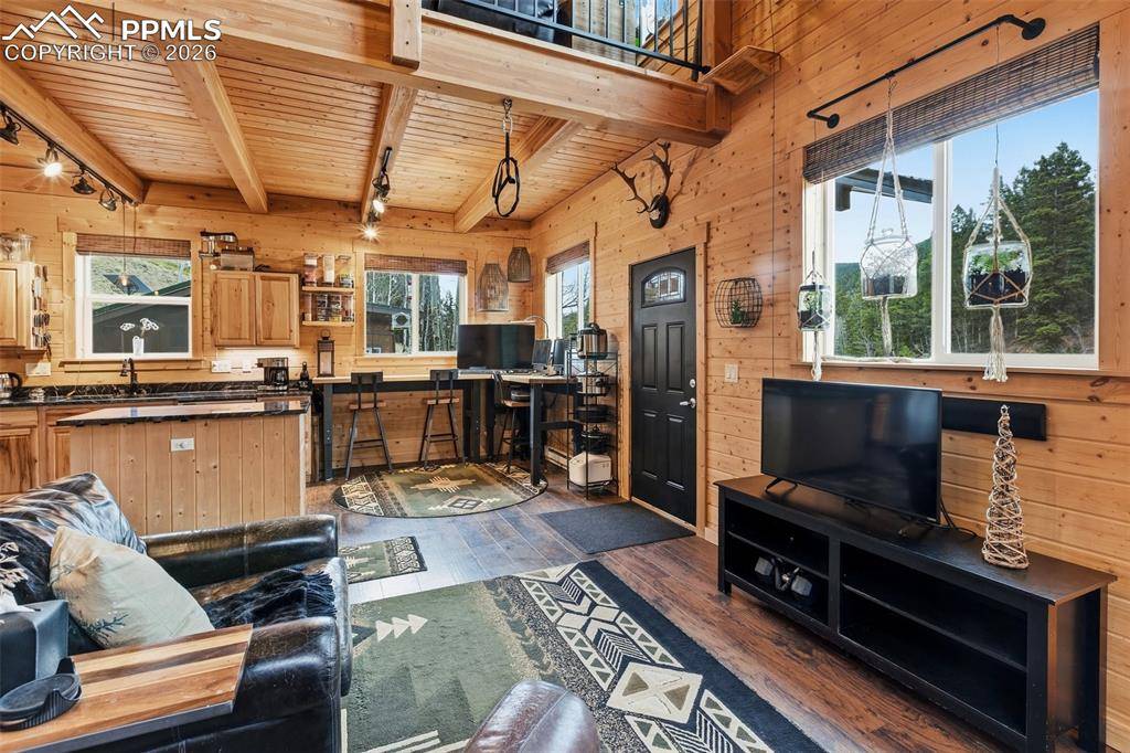 325 Willow RD, Divide, CO 80814