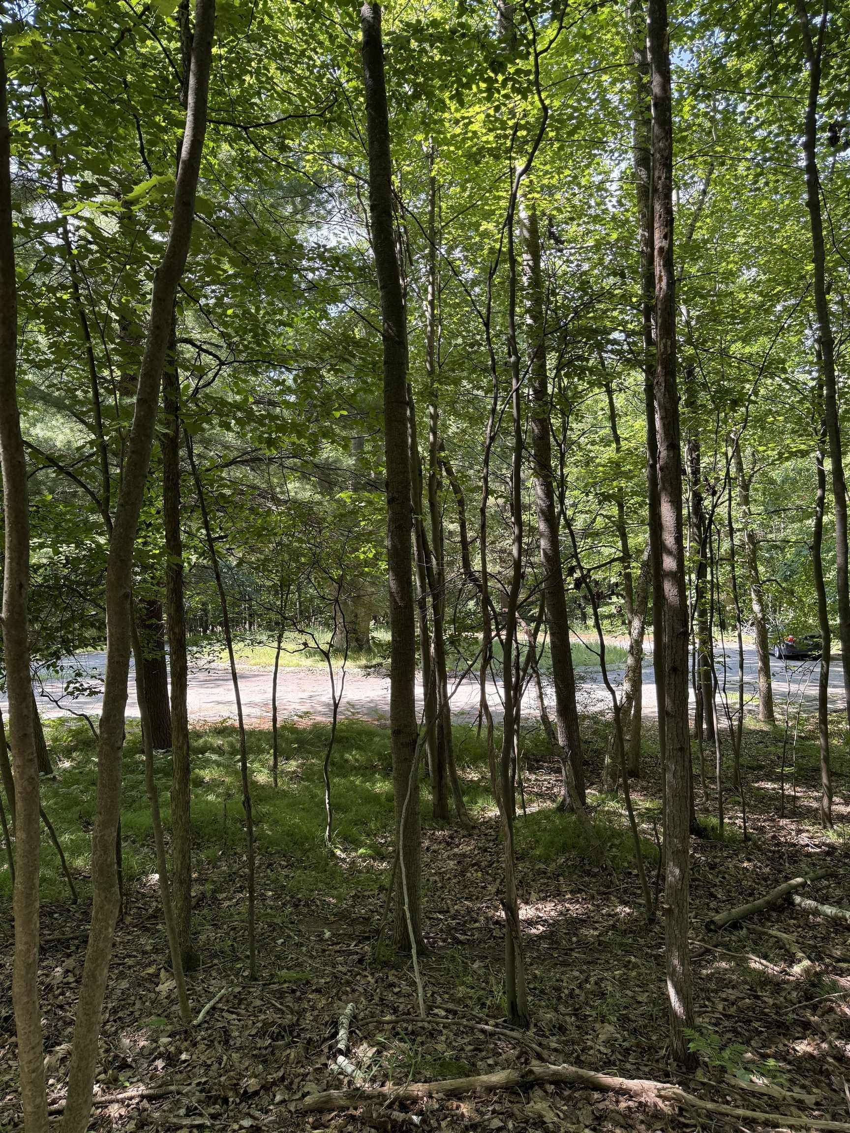 TBD Rivers Edge TRL, Deerfield Twp, MI 48858