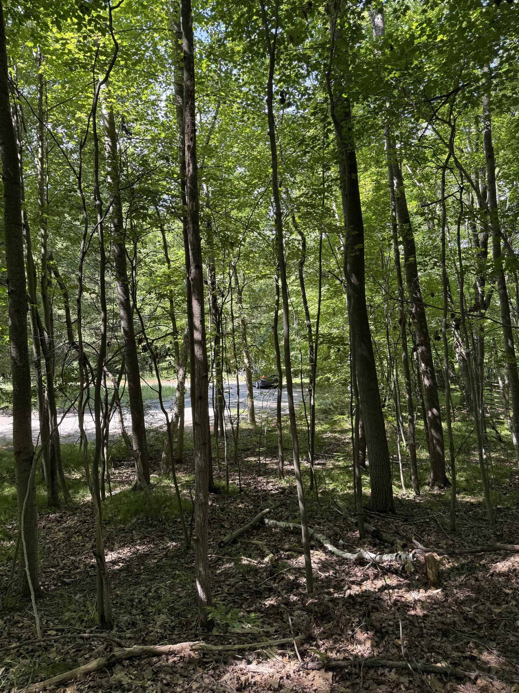 TBD Rivers Edge TRL, Deerfield Twp, MI 48858