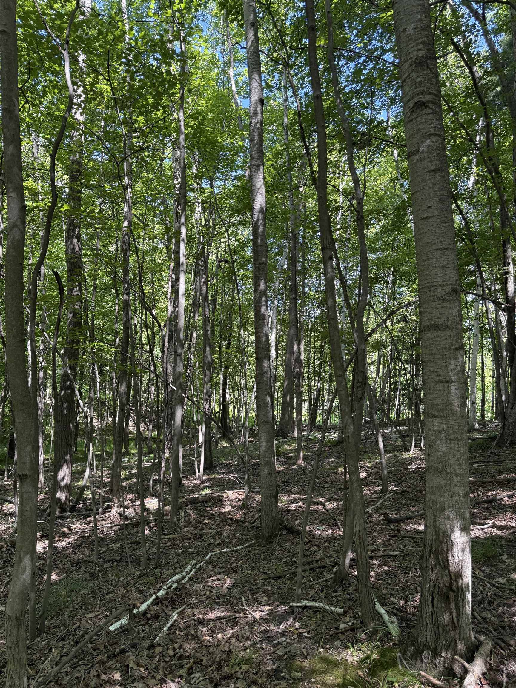 TBD Rivers Edge TRL, Deerfield Twp, MI 48858