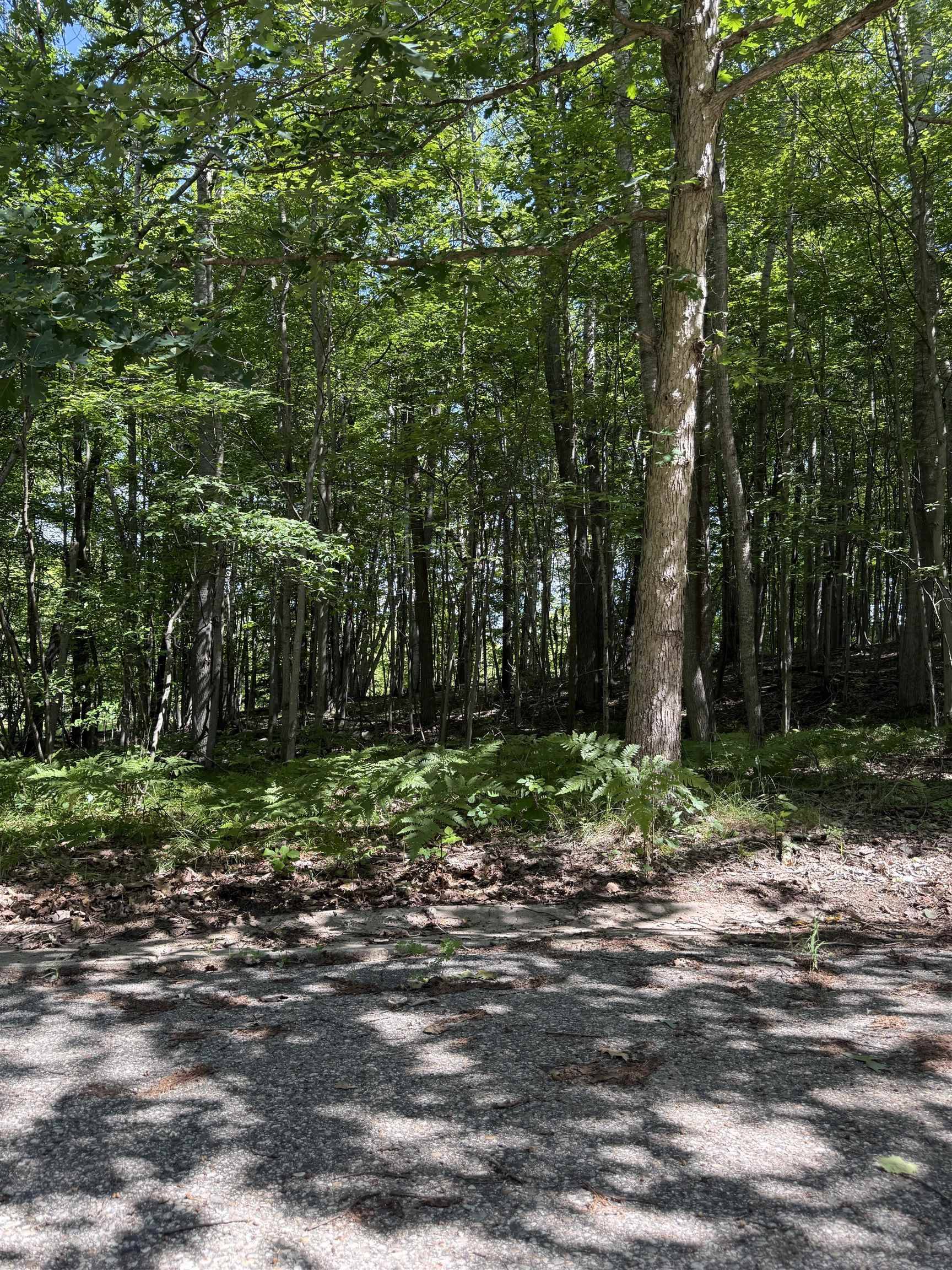 TBD Rivers Edge TRL, Deerfield Twp, MI 48858