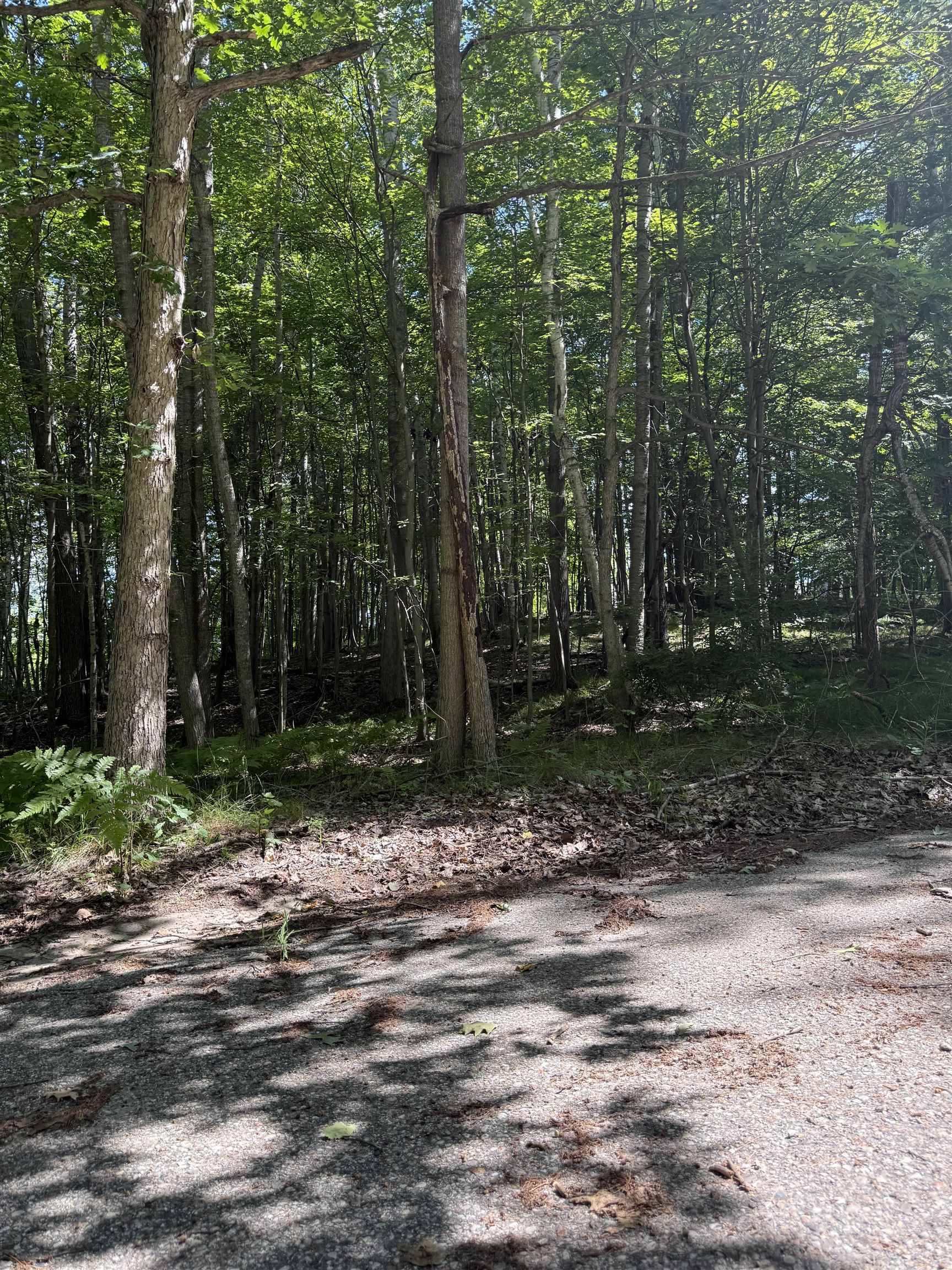 TBD Rivers Edge TRL, Deerfield Twp, MI 48858