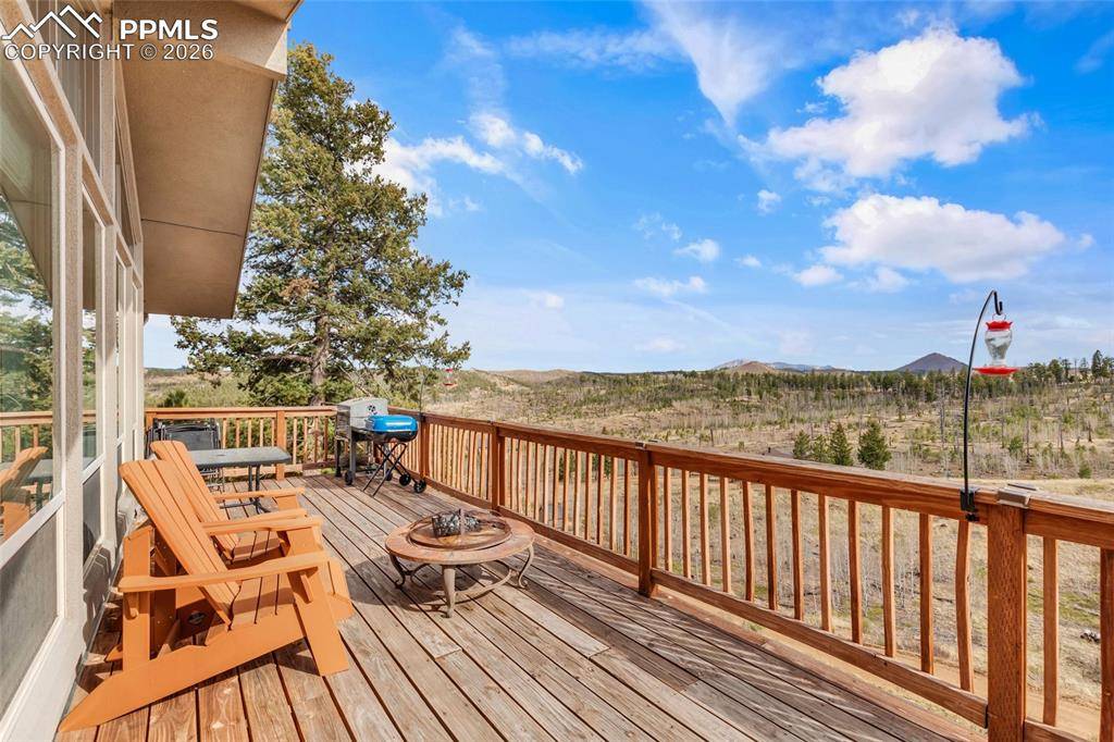 81 Hedges CIR, Woodland Park, CO 80863