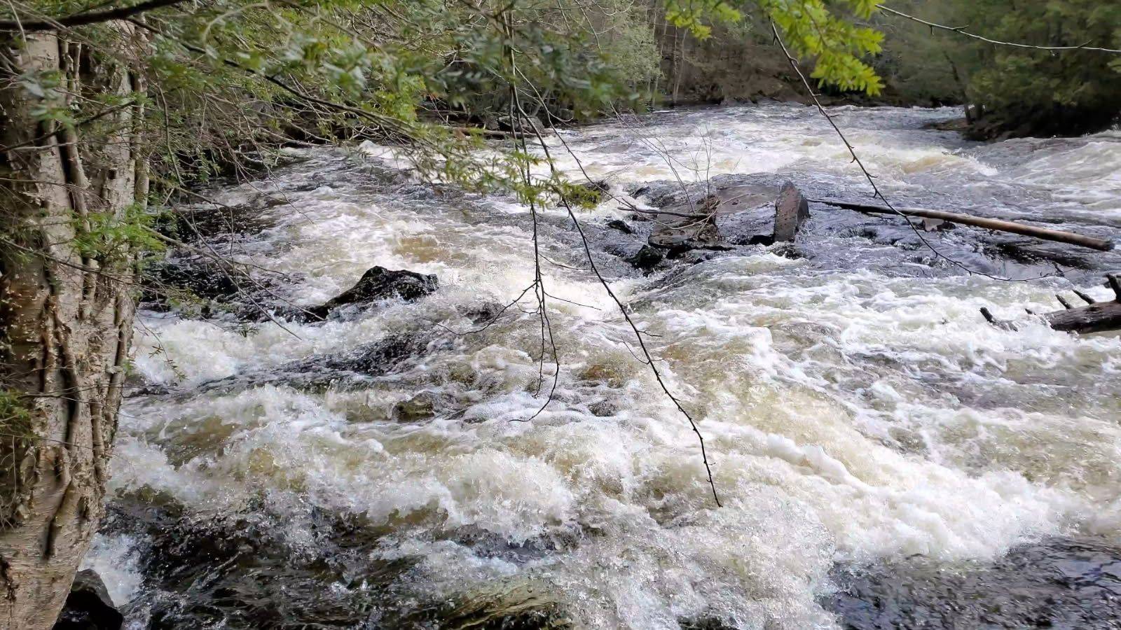 8 Clark Line RD, Addington Highlands, ON K0H 1P0