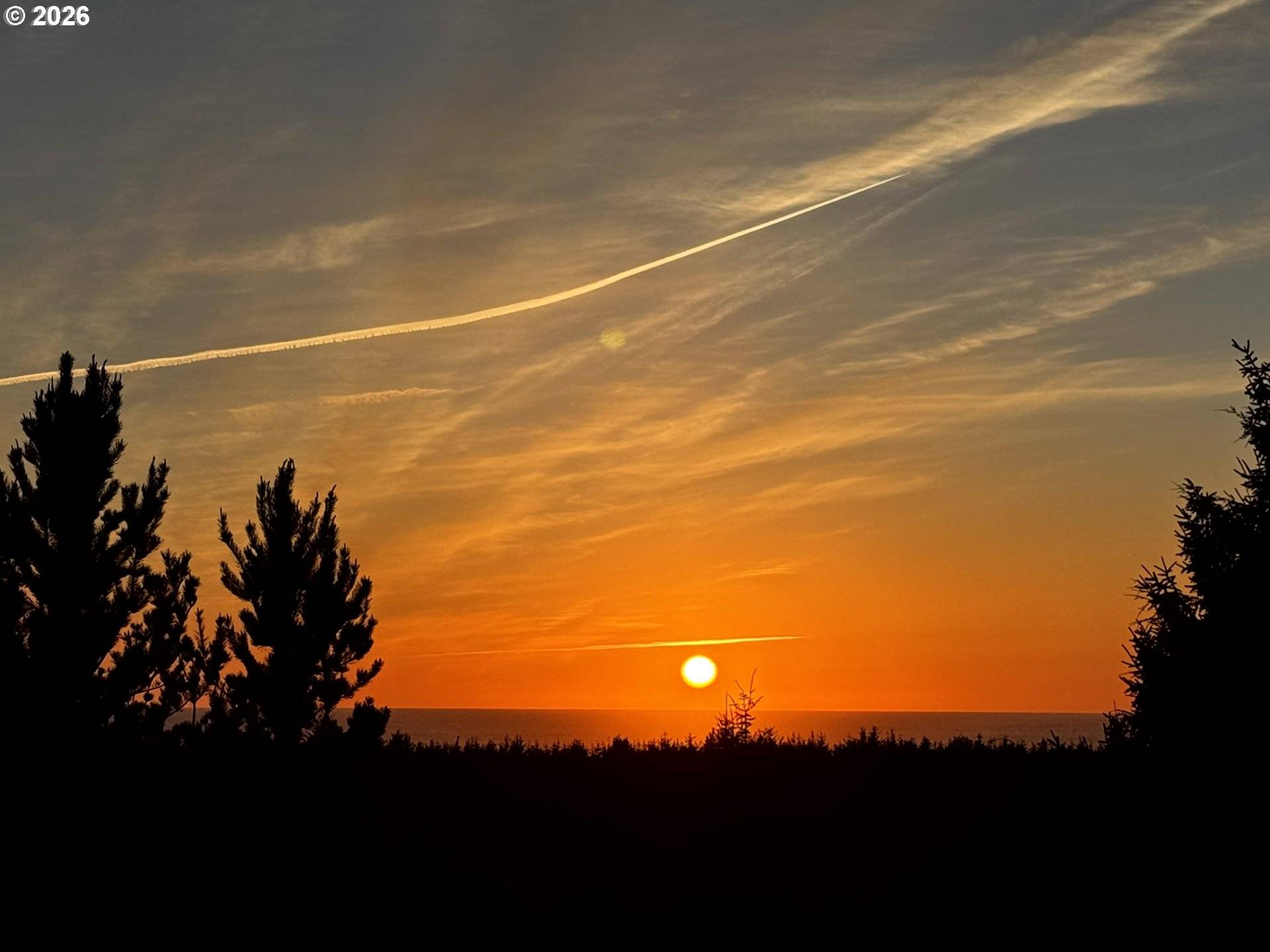 2801 WILLOWS RD #8, Seaview, WA 98644